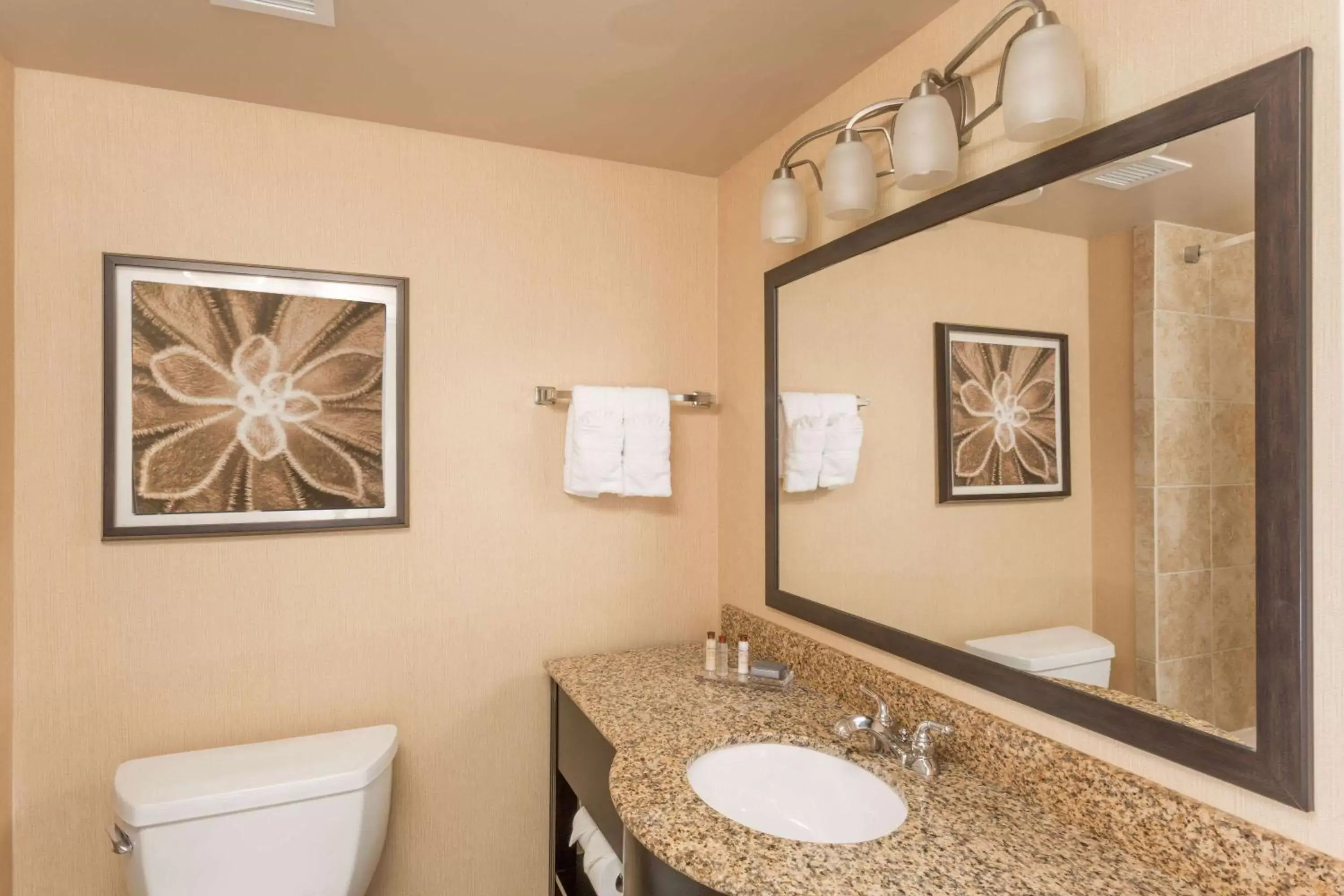 Photo of the whole room in Wingate by Wyndham Houma Photo of the whole room in Wingate by Wyndham Houma