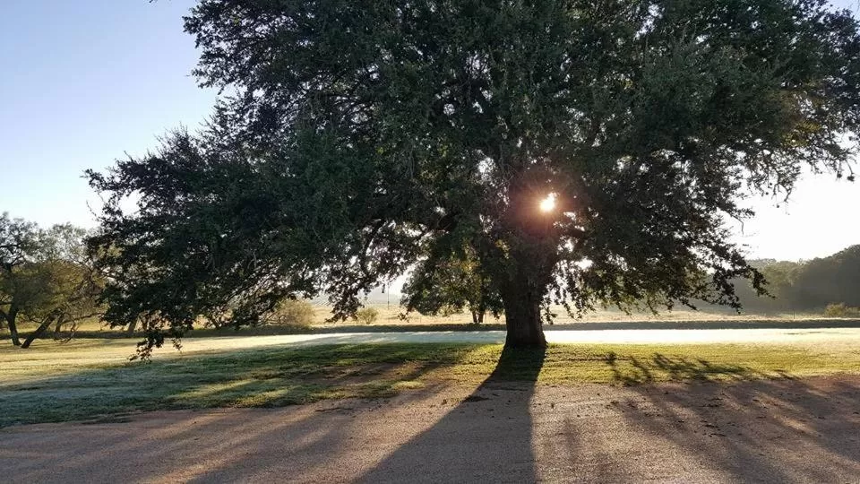 Garden in Full Moon Inn