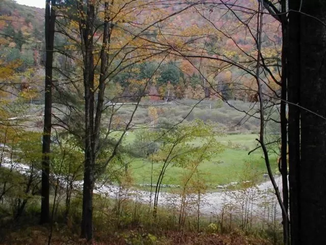 Area and facilities in Mountain Valley Retreat