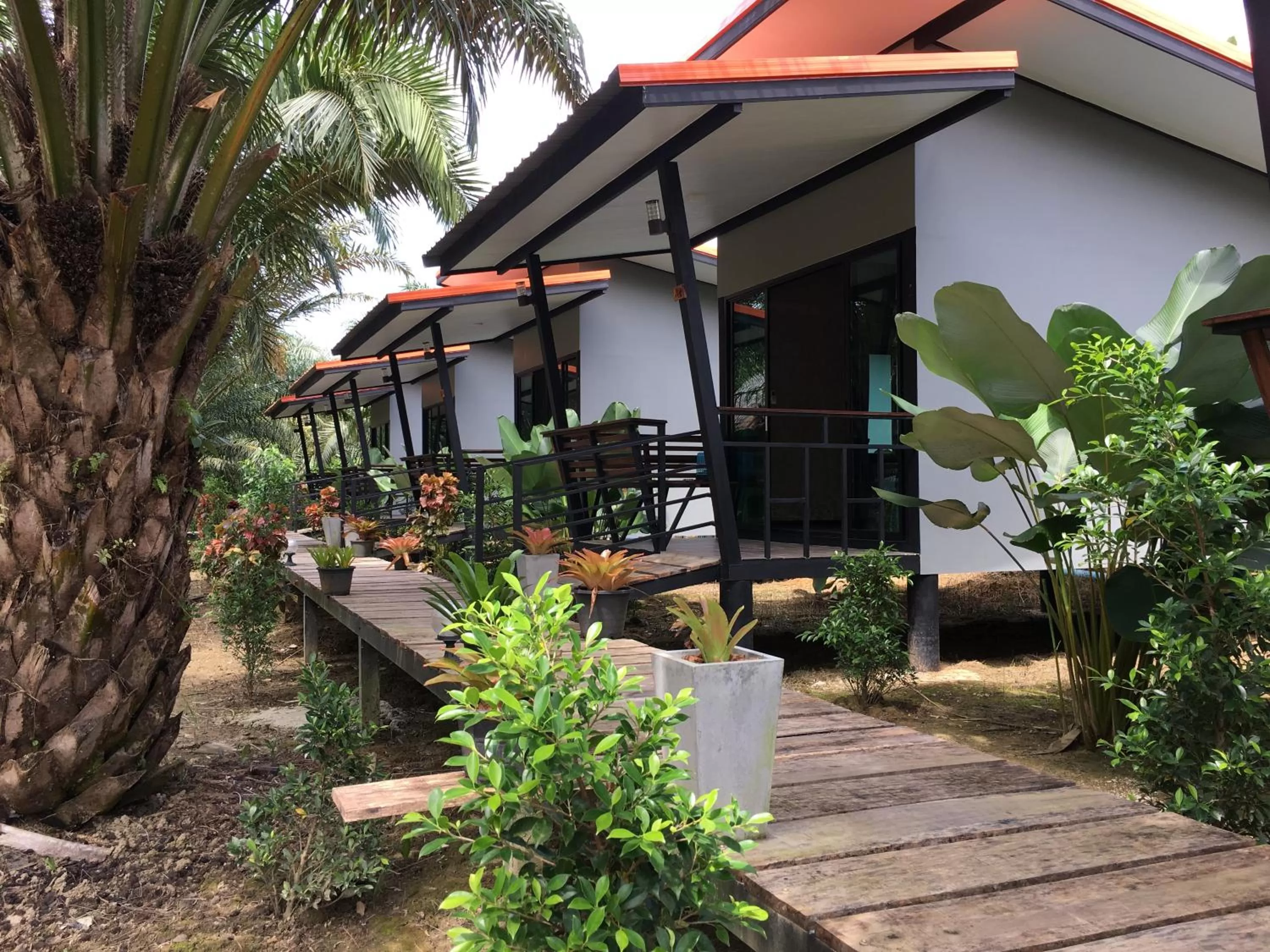 View (from property/room) in Khao Sok Residence Resort