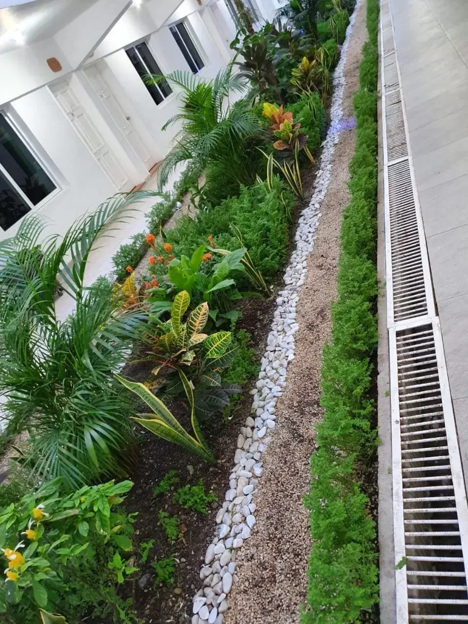 Garden in Hotel Casa Blanca