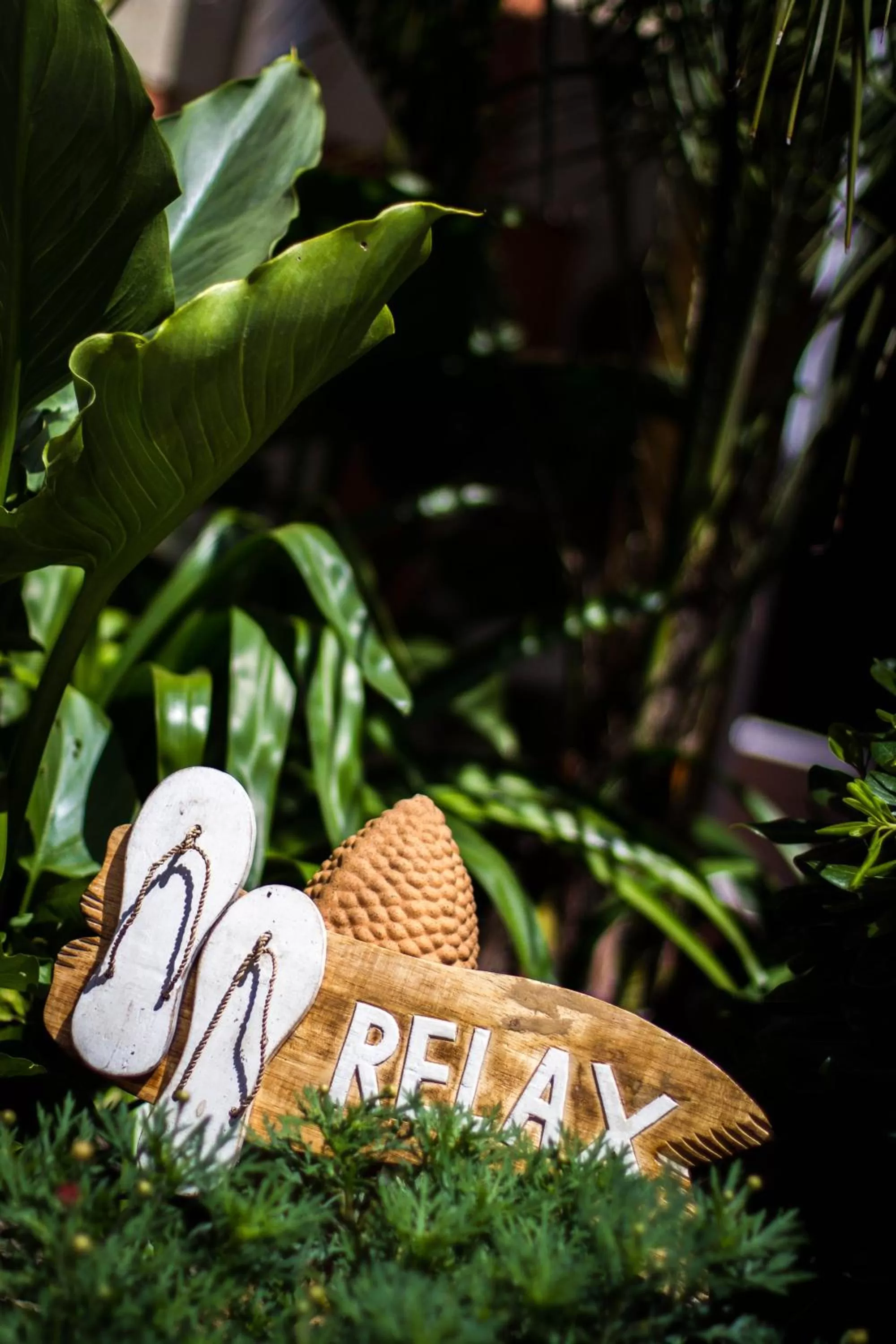 Garden in VILLA ZENITH Hostel - LA MAISON