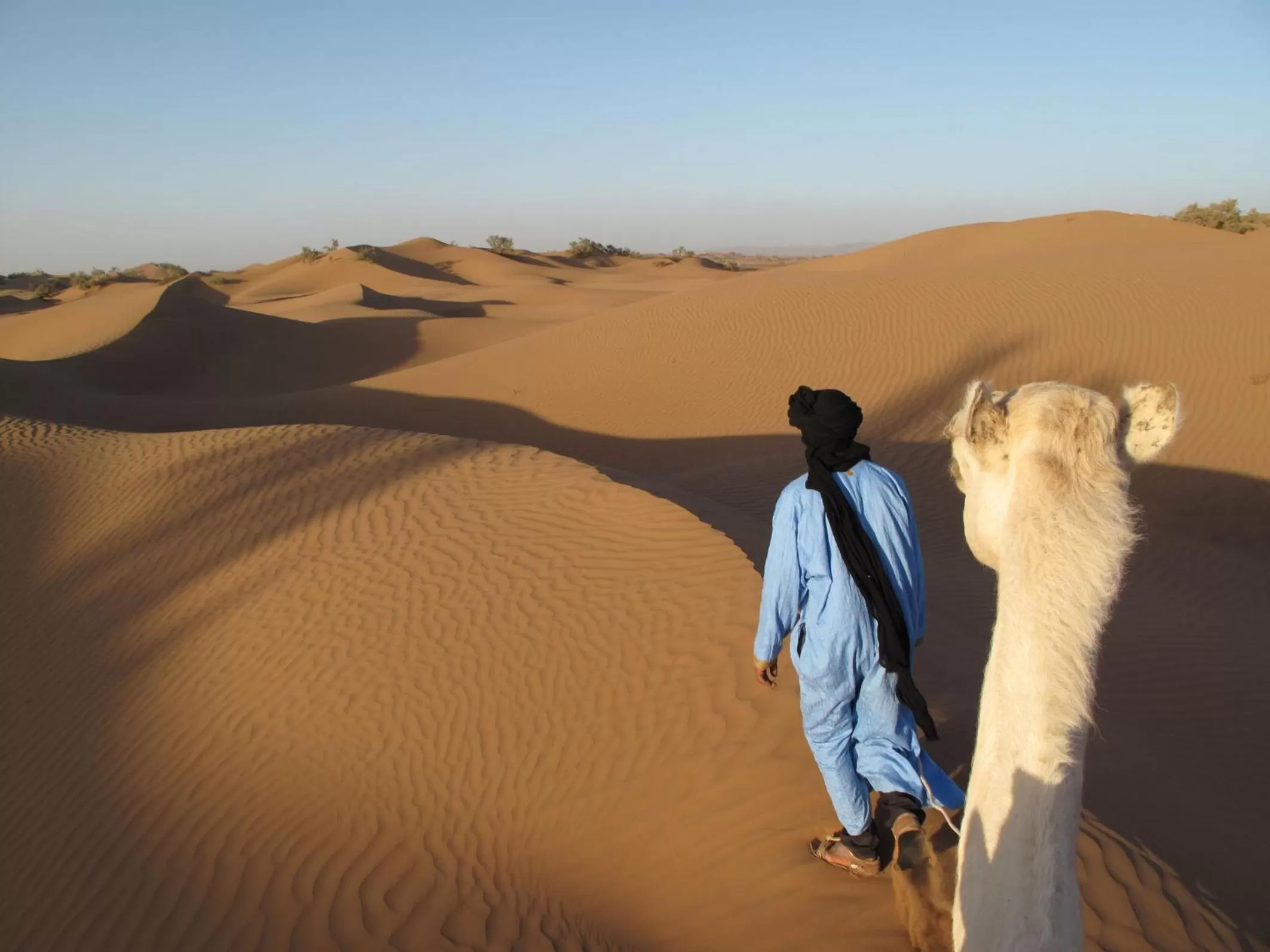 Area and facilities in Dar Paru