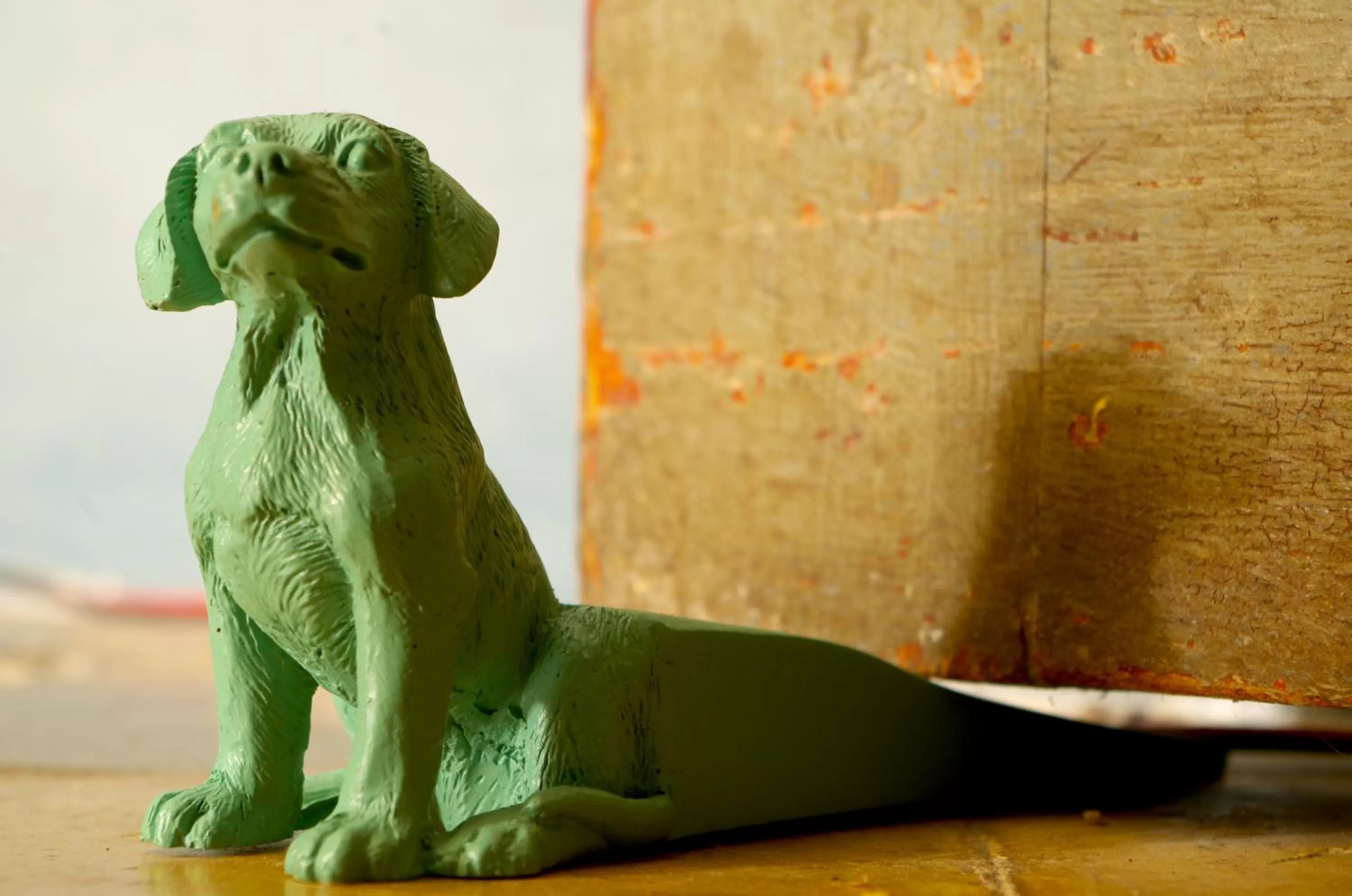 Other Animals in Olmitos 3 Hotel boutique, Casa-Palacio