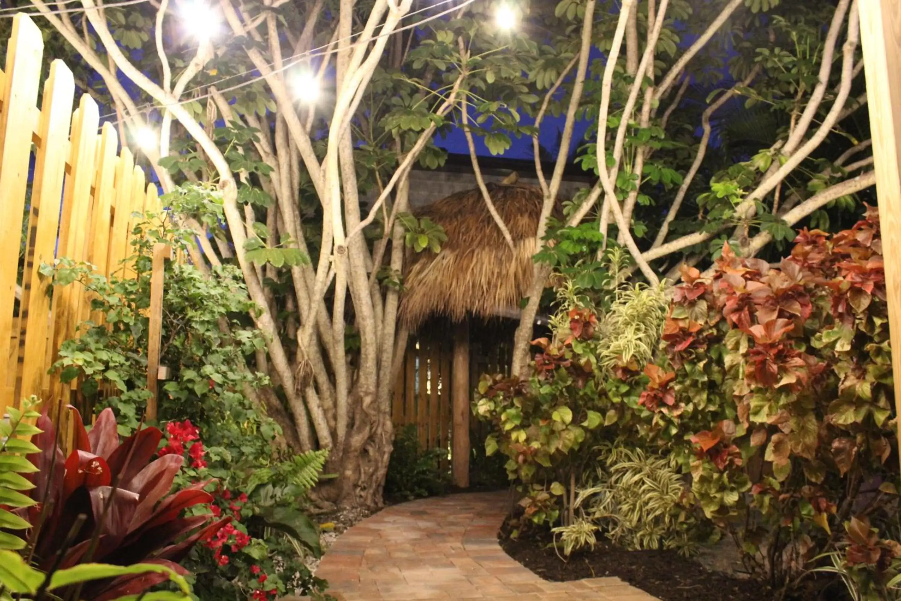 Garden, Property Building in Siesta Key Palms Resort