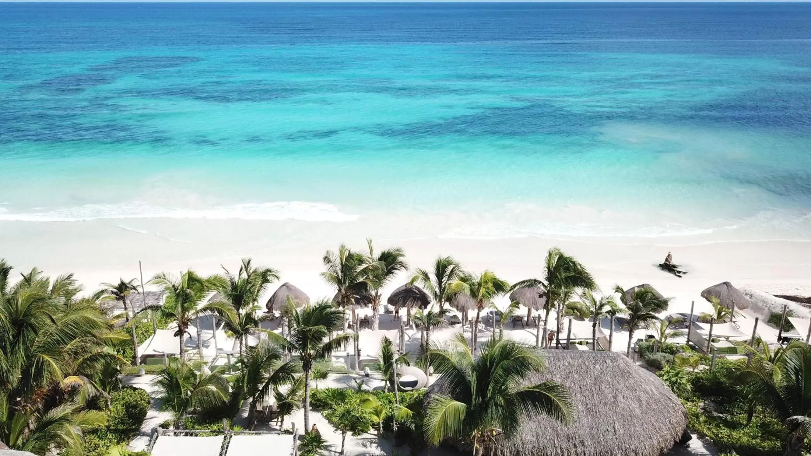 Natural landscape in Sueños Tulum