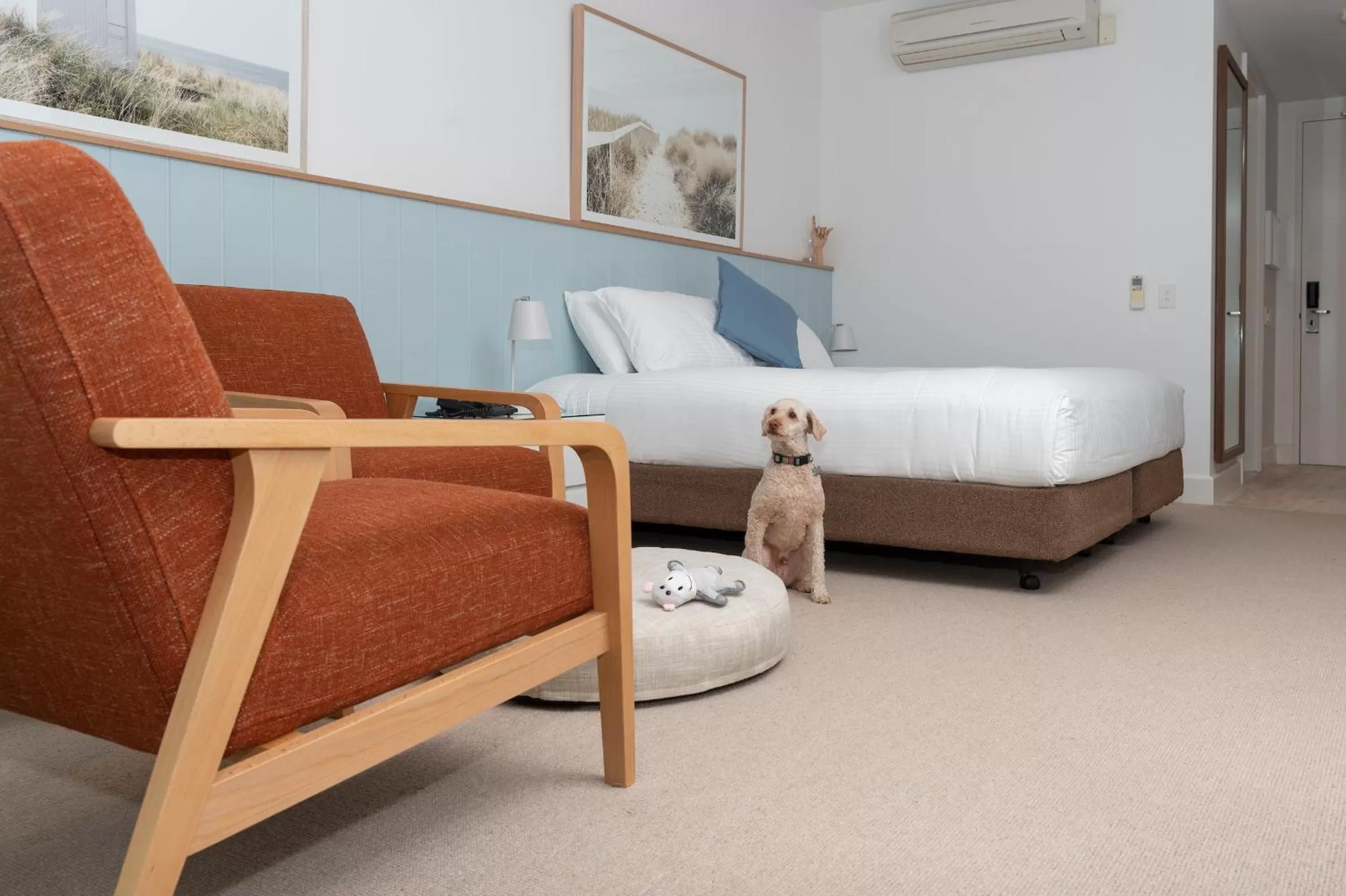 Bedroom, Bed in The Sands Torquay