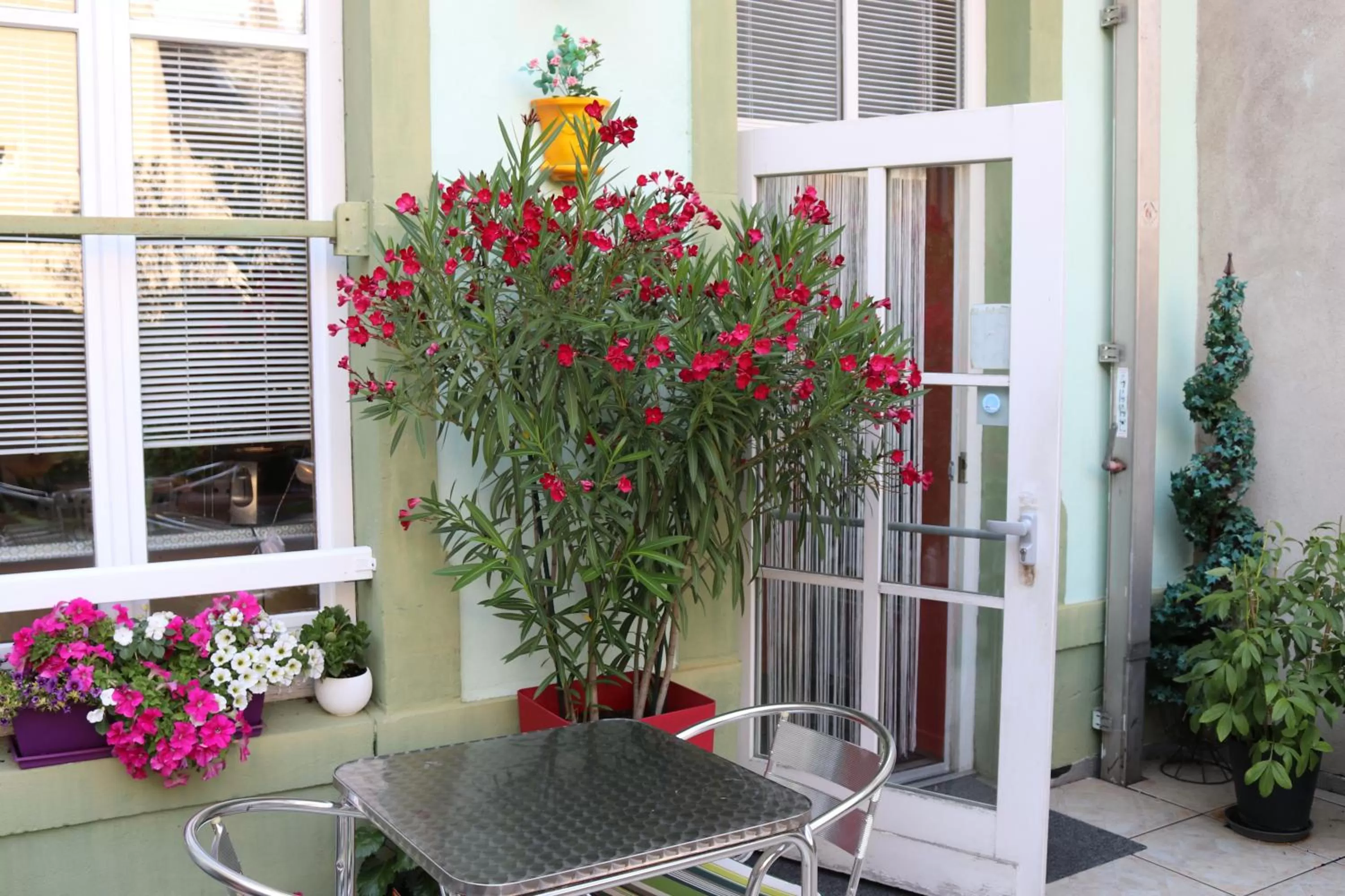 Patio in Logis-Hôtel des Oliviers
