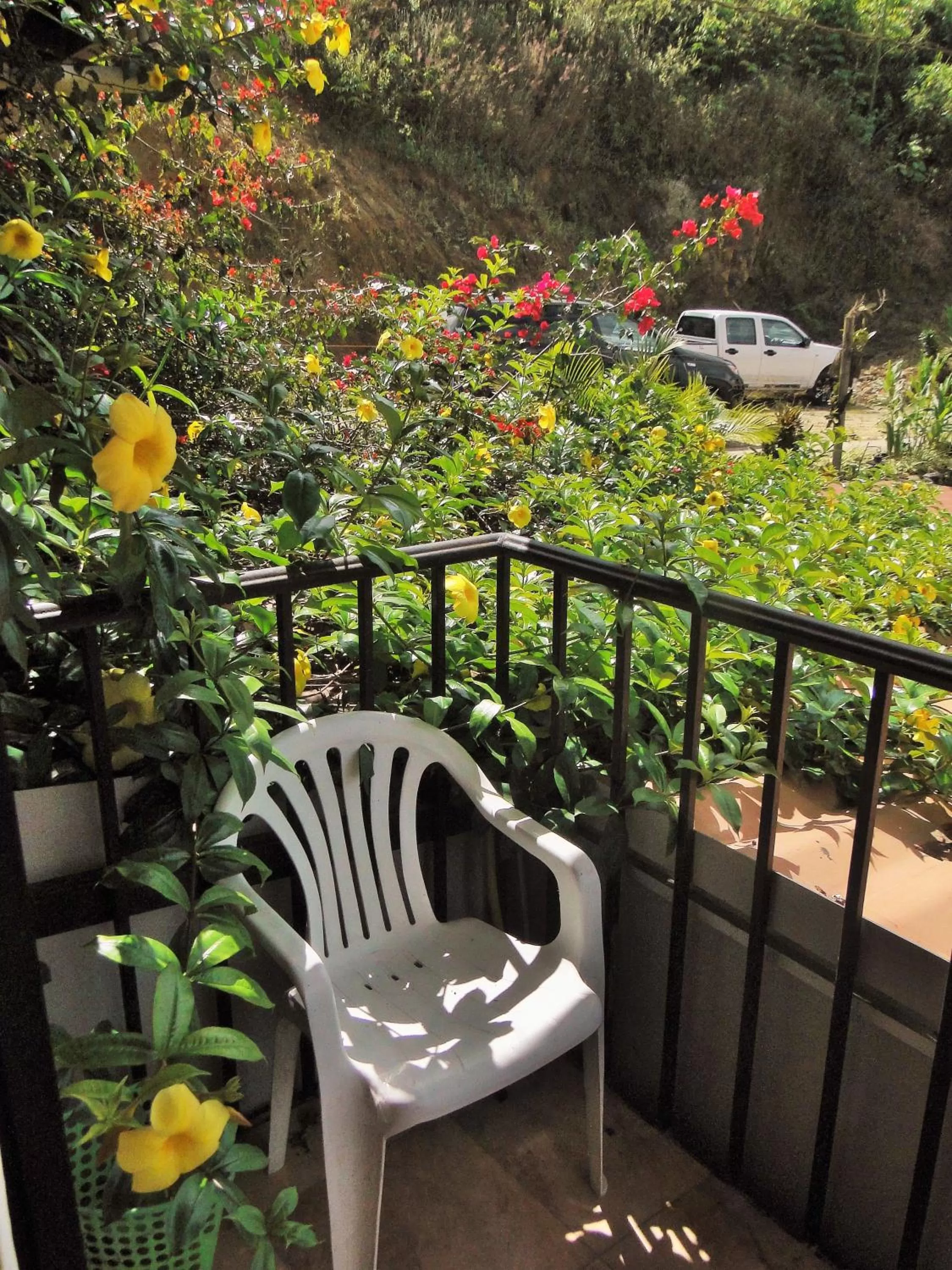 Balcony/Terrace, Patio/Outdoor Area in Hosteria Florecer