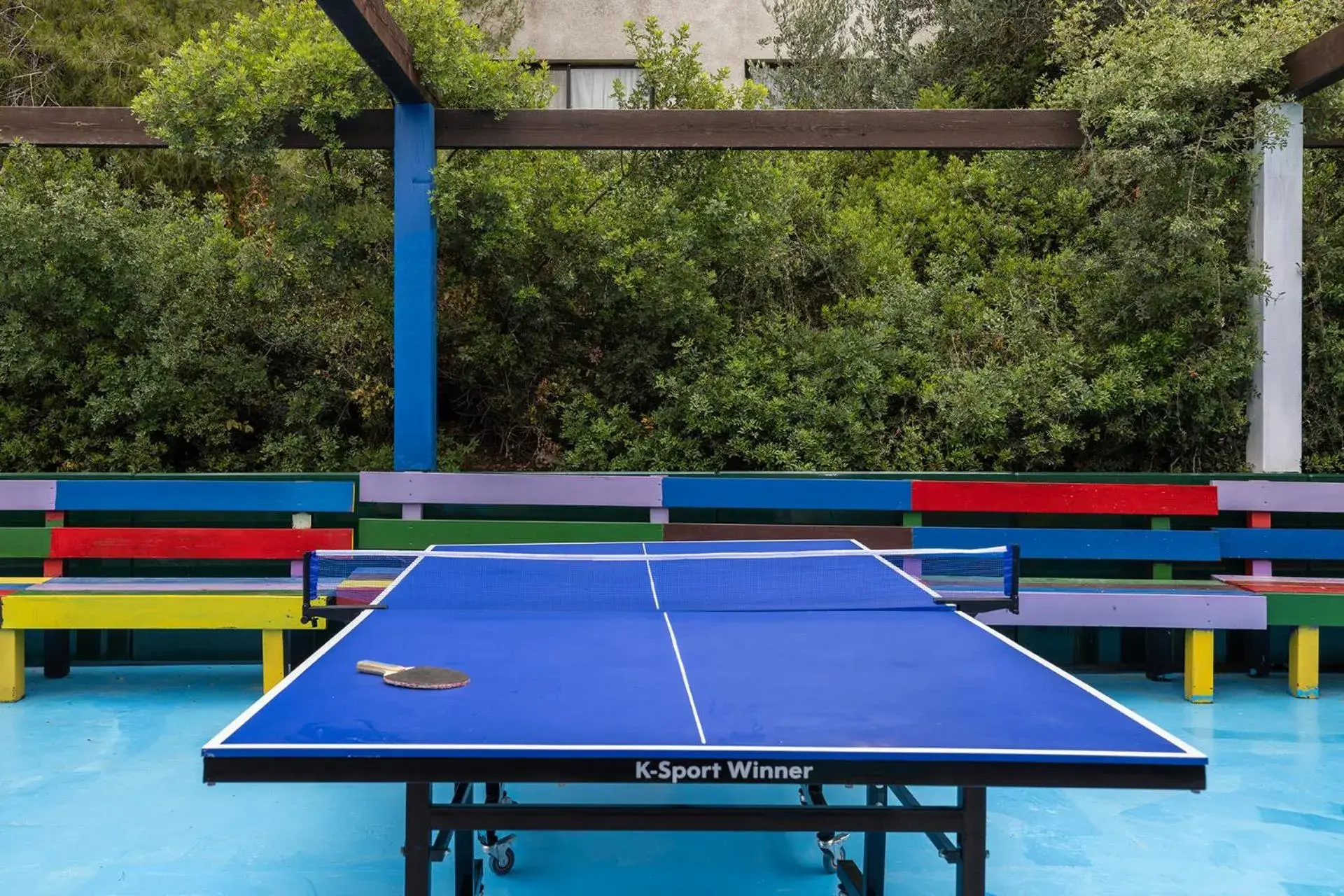 Game Room, Table Tennis in C Hotel Neve Ilan