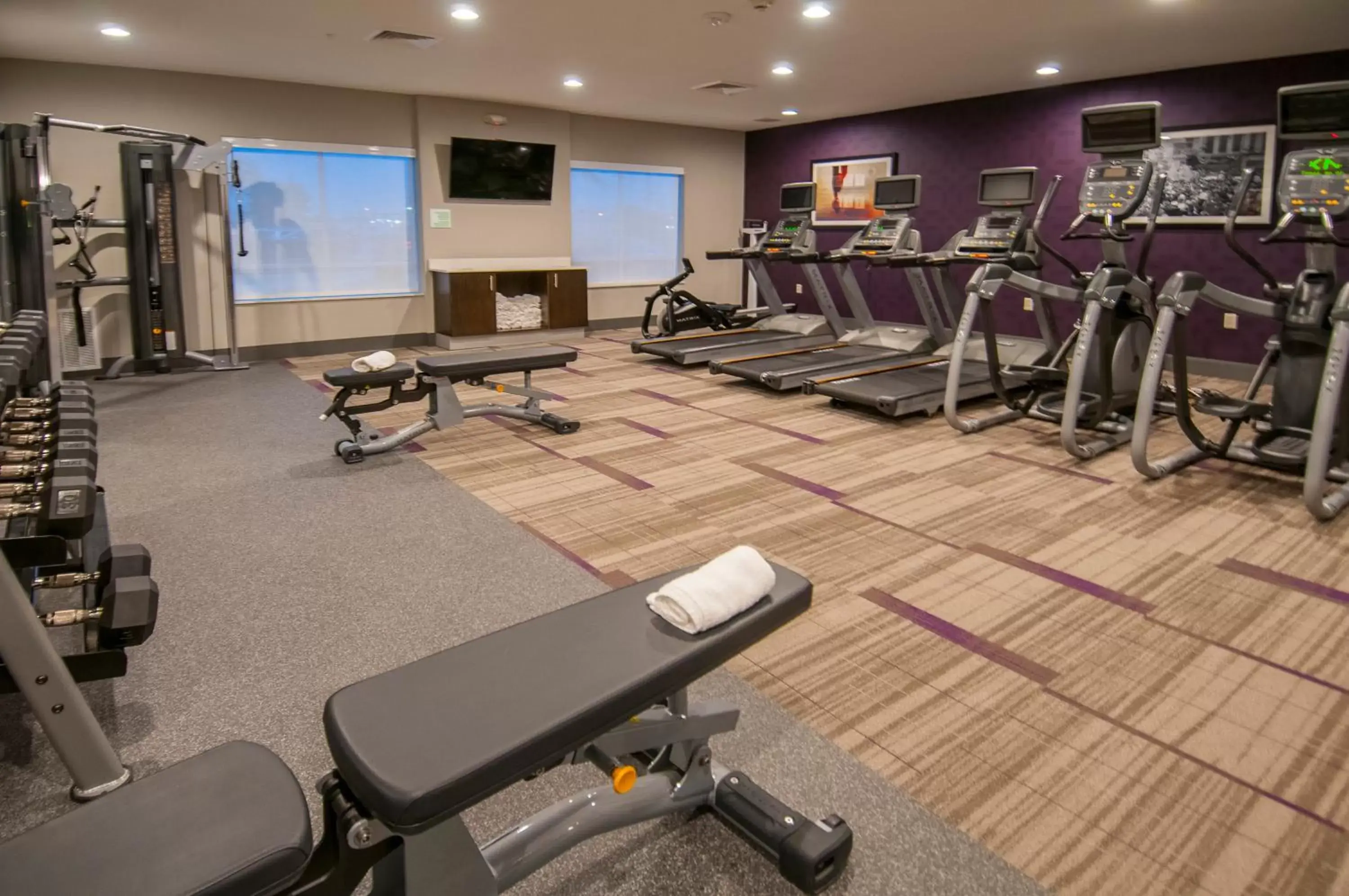 Fitness centre/facilities, Fitness Center/Facilities in Holiday Inn - New Orleans Airport North, an IHG Hotel