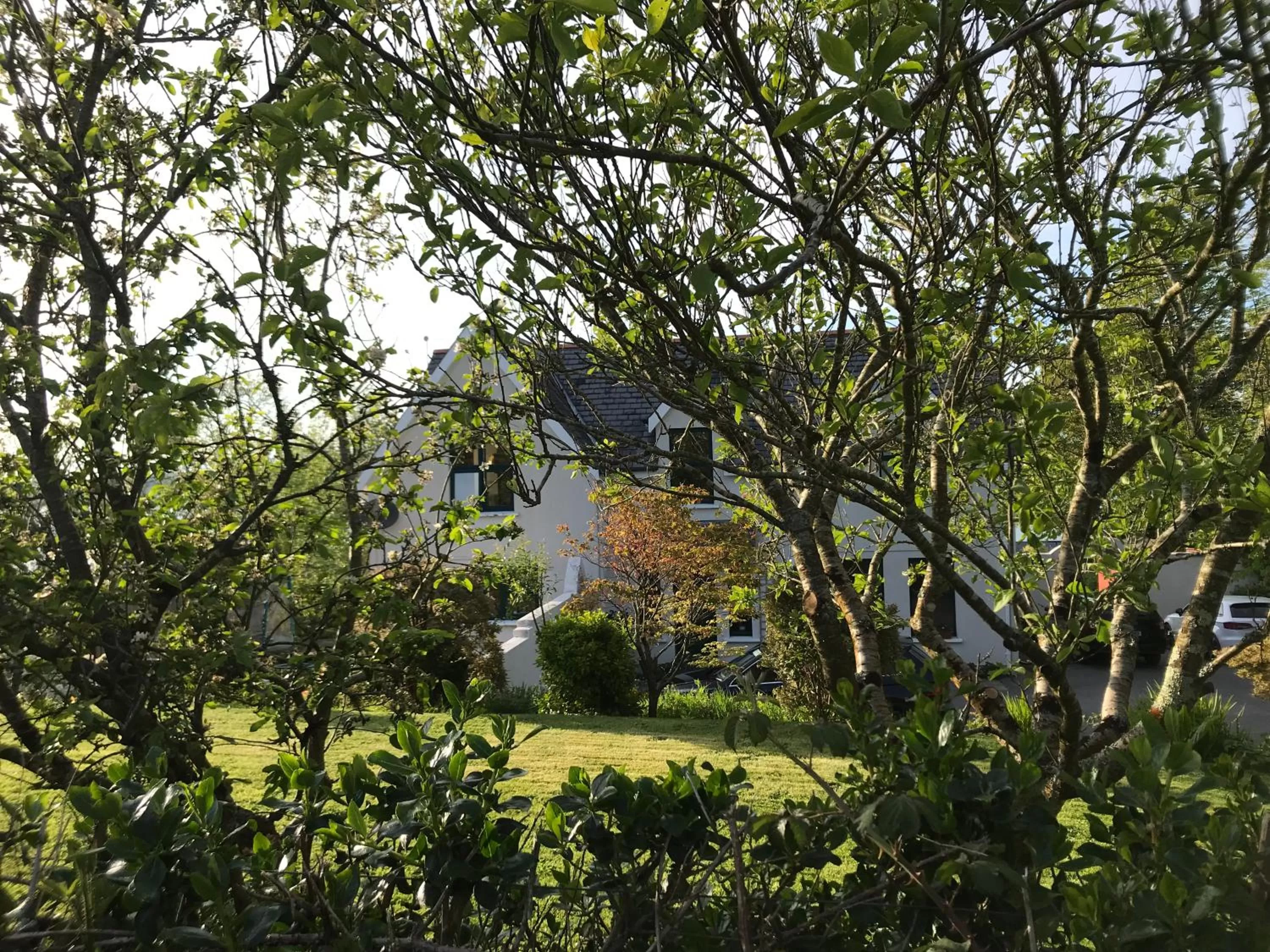 Property building in Tranquil Water