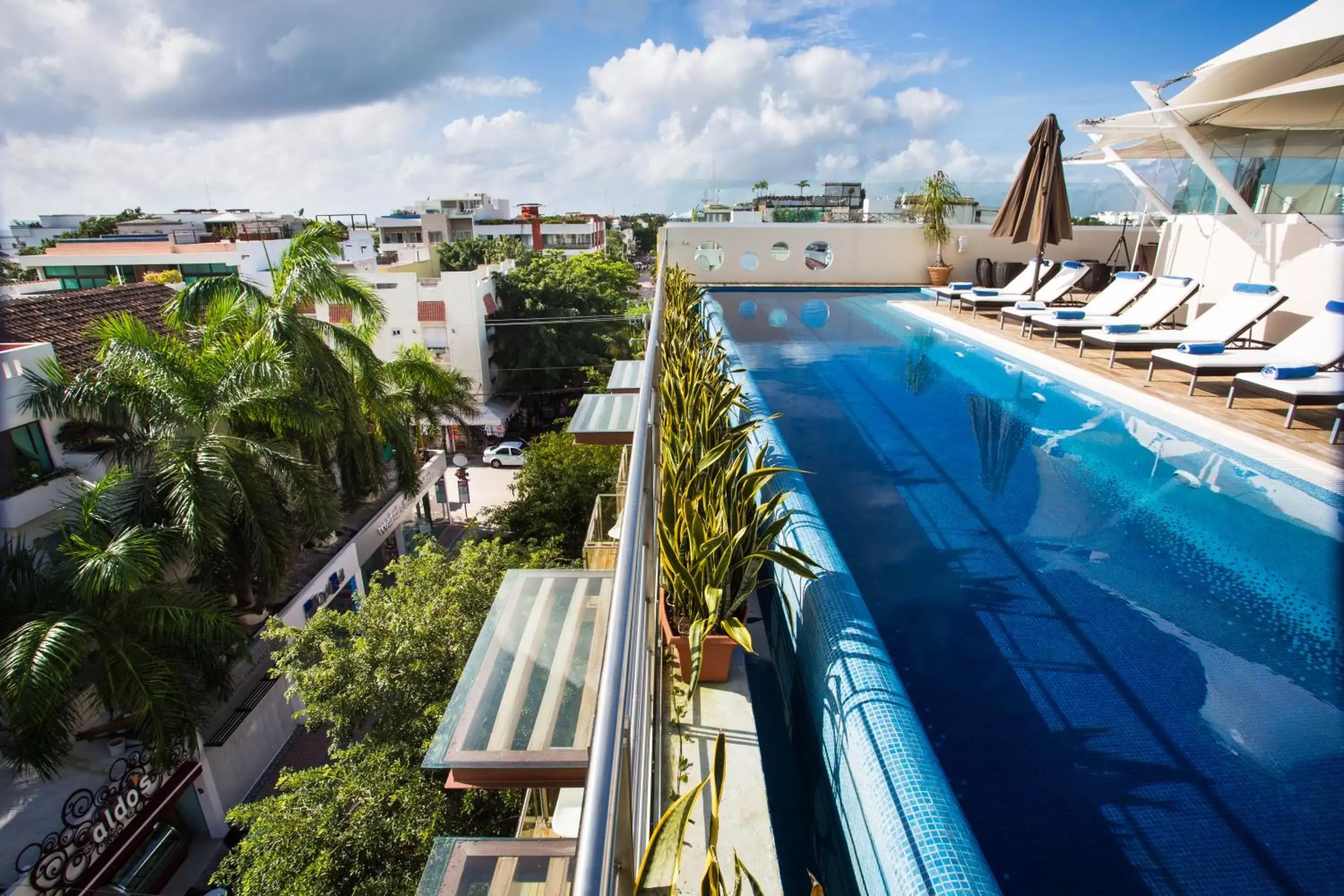 Swimming Pool in Senses Quinta Avenida Hotel By Artisan