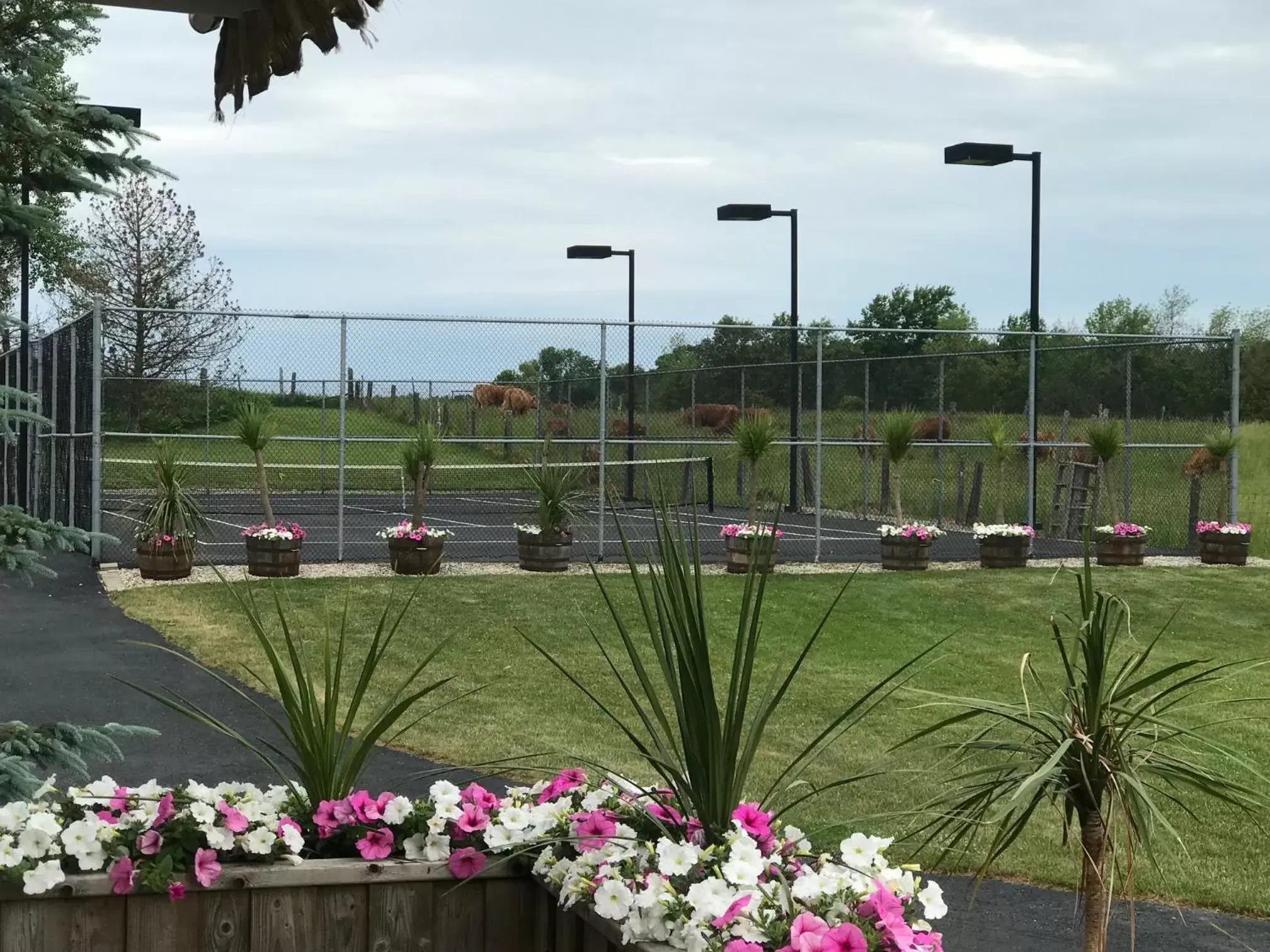 Tennis court in Country Inn Listowel