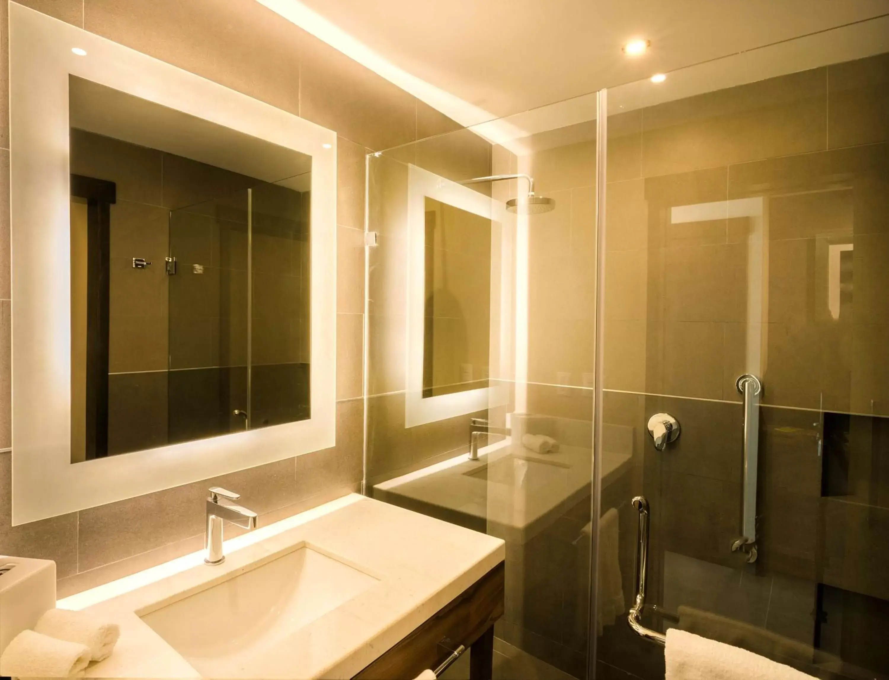 Bathroom in Hilton Garden Inn Aguascalientes
