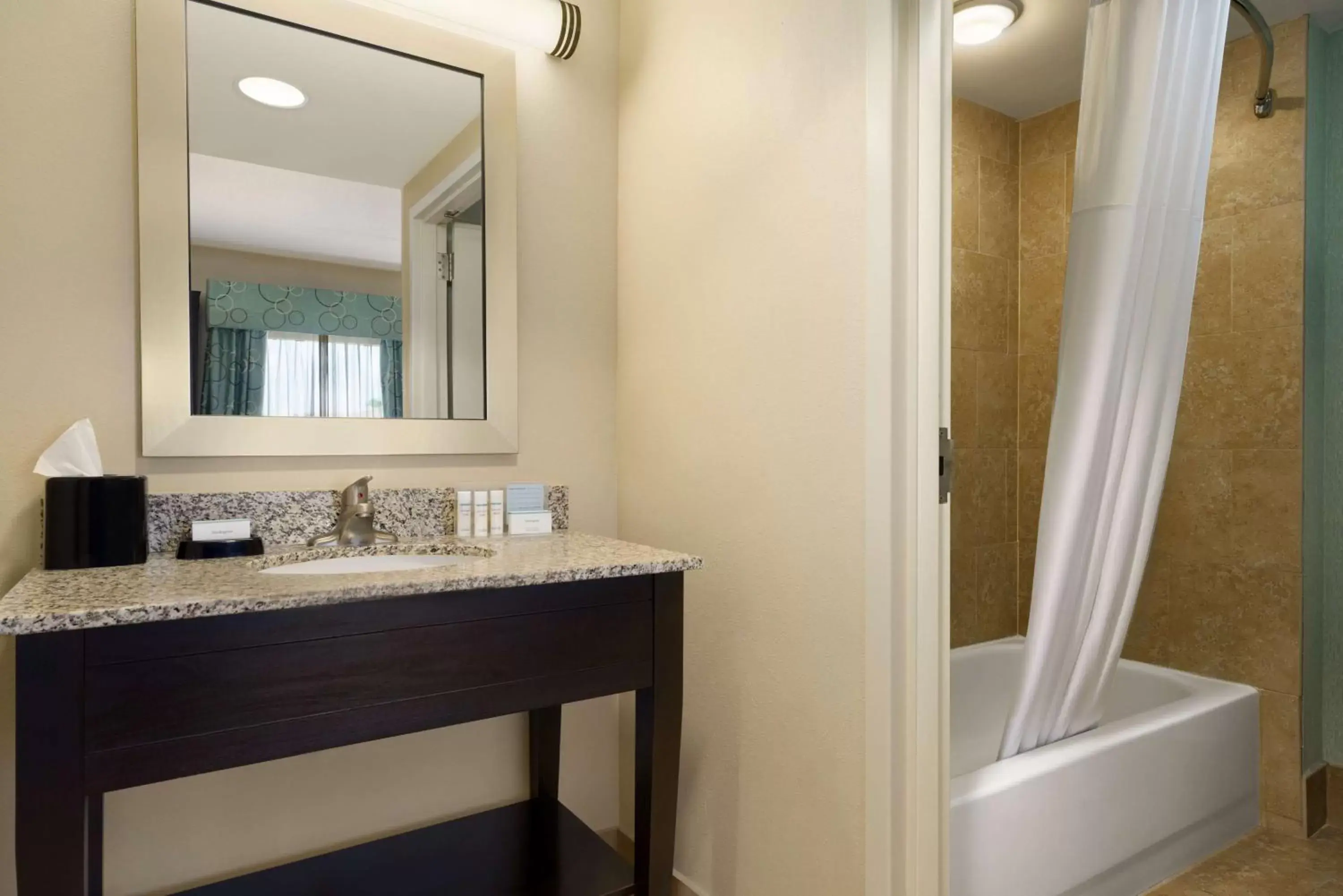 Bathroom in Hampton Inn & Suites Bluffton-Sun City