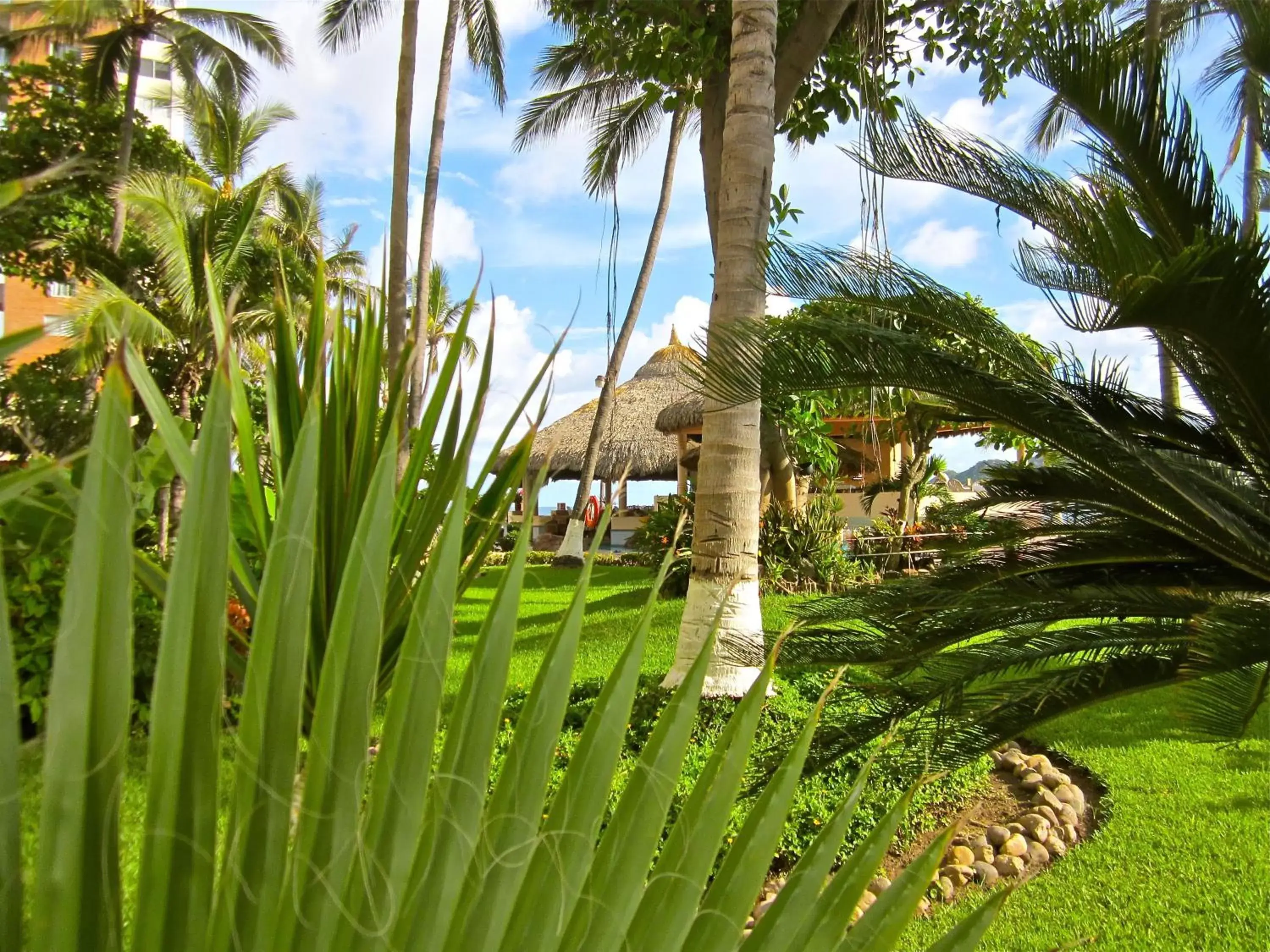 Garden in The Palms Resort of Mazatlan