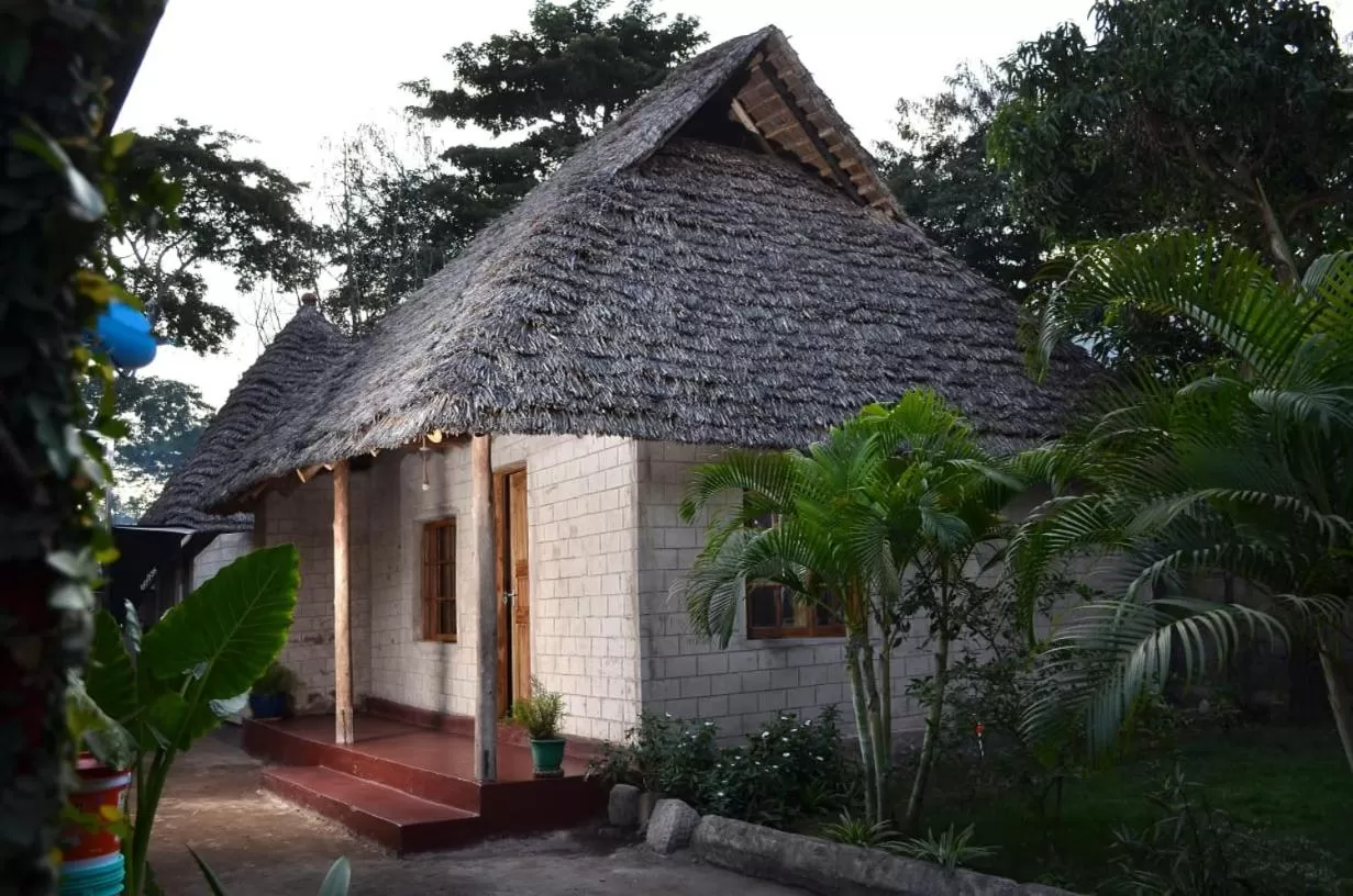 Property Building in Charming Eco-Homestay near Kilimanjaro International Airport