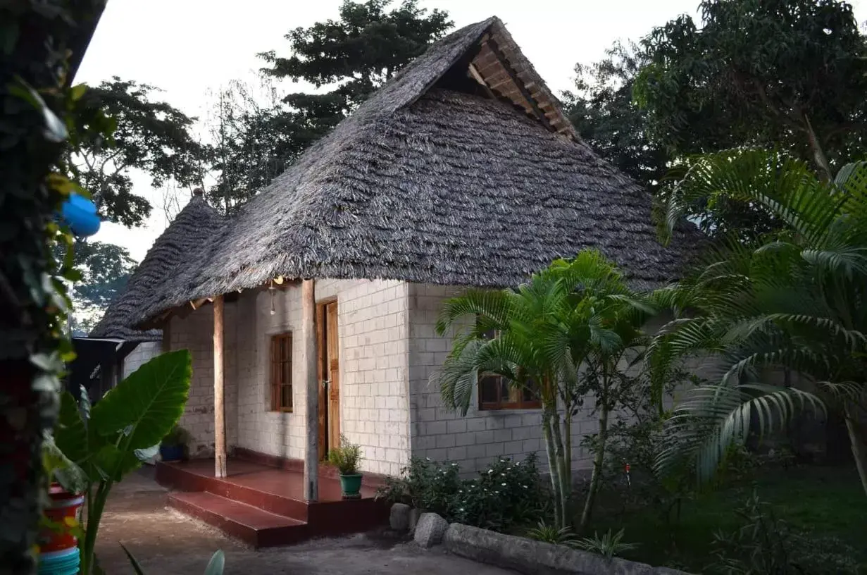 Double or Twin Room with Garden View in Charming Eco-Homestay near Kilimanjaro International Airport Double or Twin Room with Garden View in Charming Eco-Homestay near Kilimanjaro International Airport
