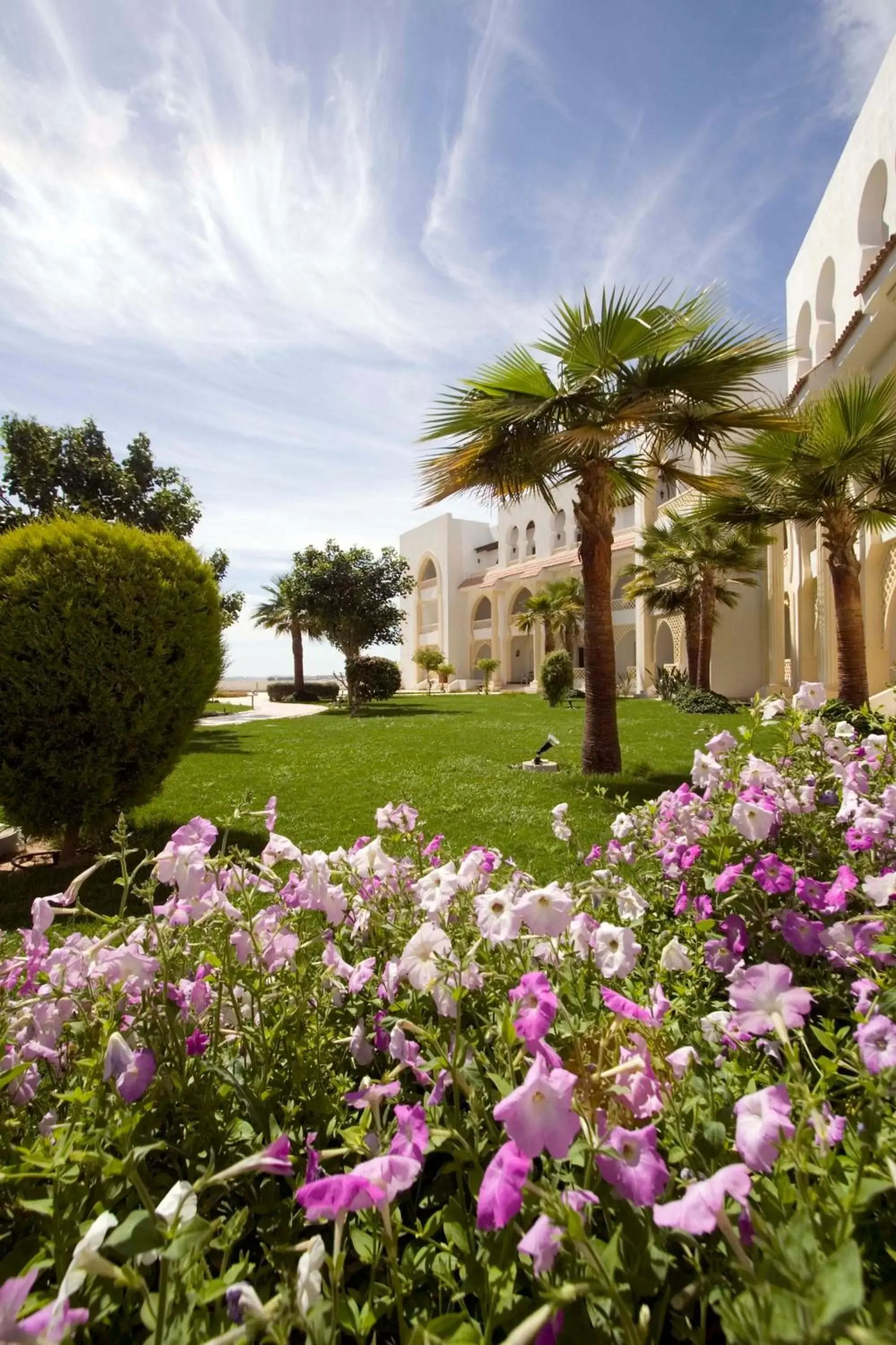 Garden in Old Palace Resort Sahl Hasheesh