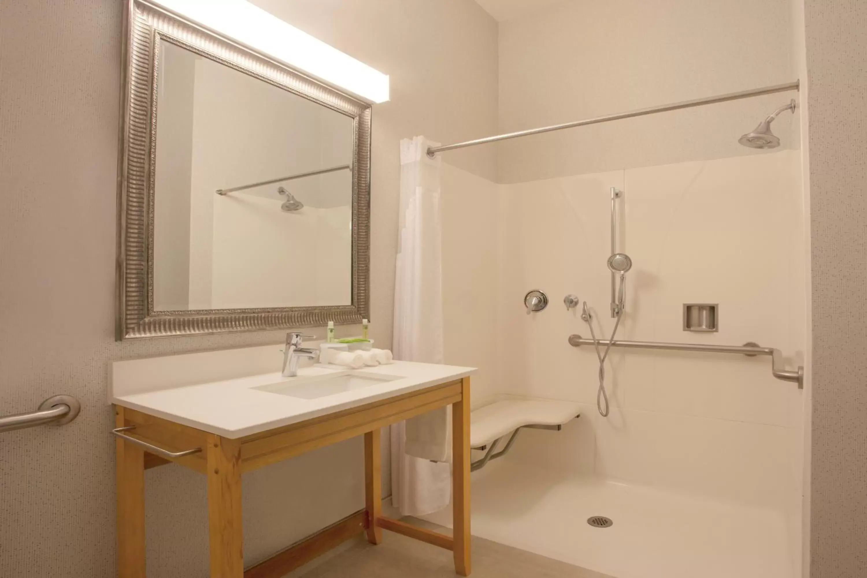 Bathroom in Holiday Inn Express Davis-University Area, an IHG Hotel