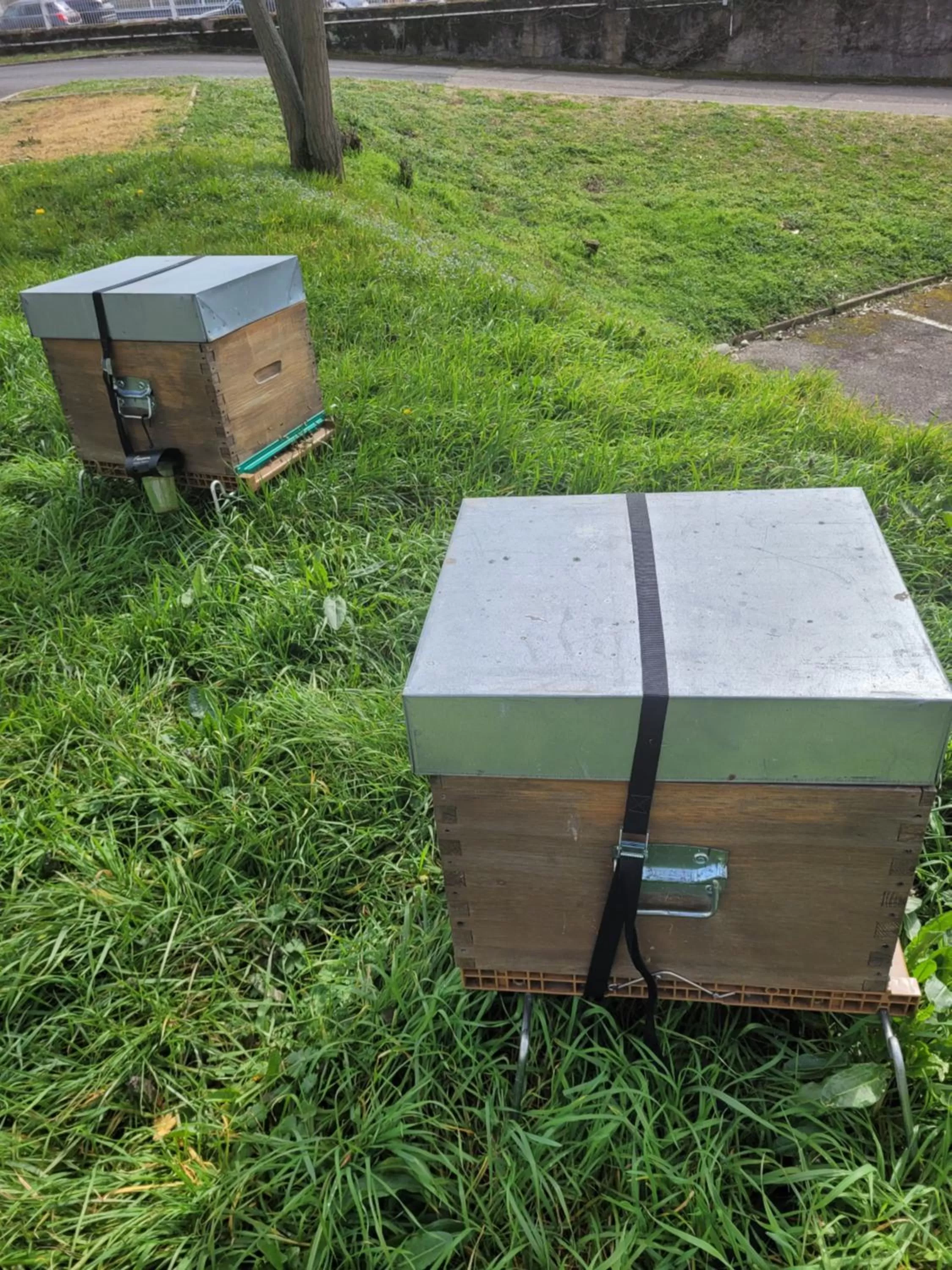 Spring in KYRIAD DIRECT LYON NORD - Dardilly