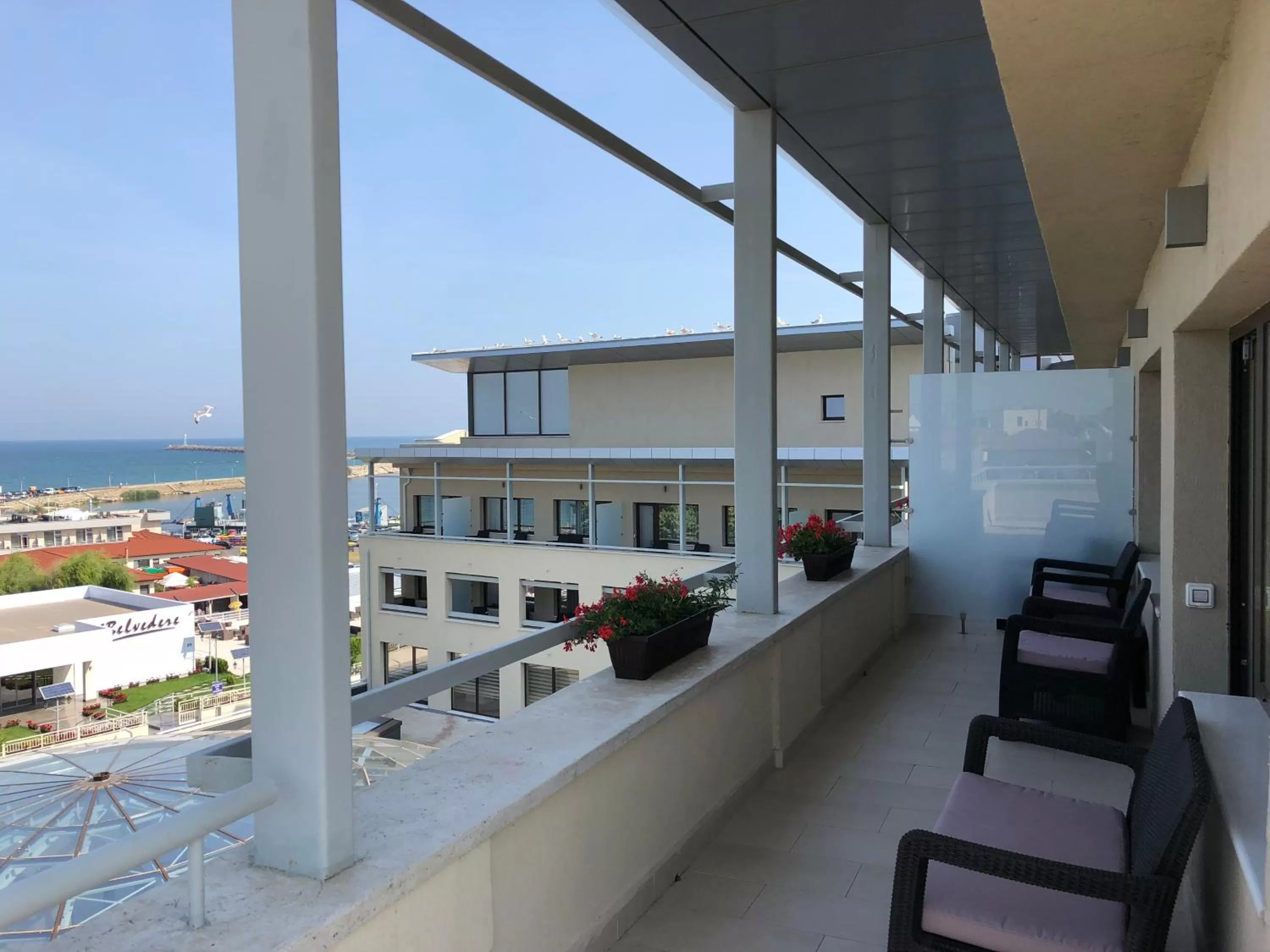 Balcony/Terrace in New Belvedere