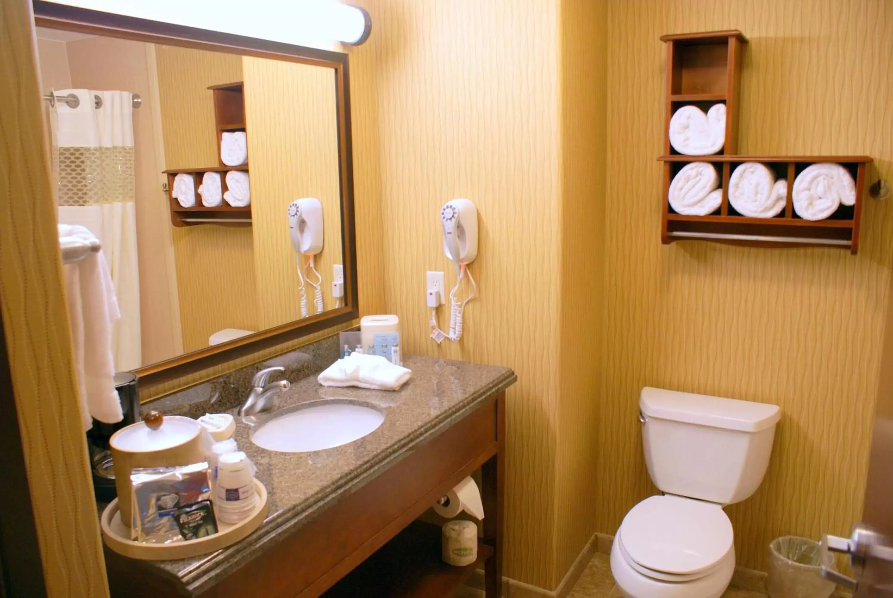 Bathroom in Hampton Inn & Suites Brenham