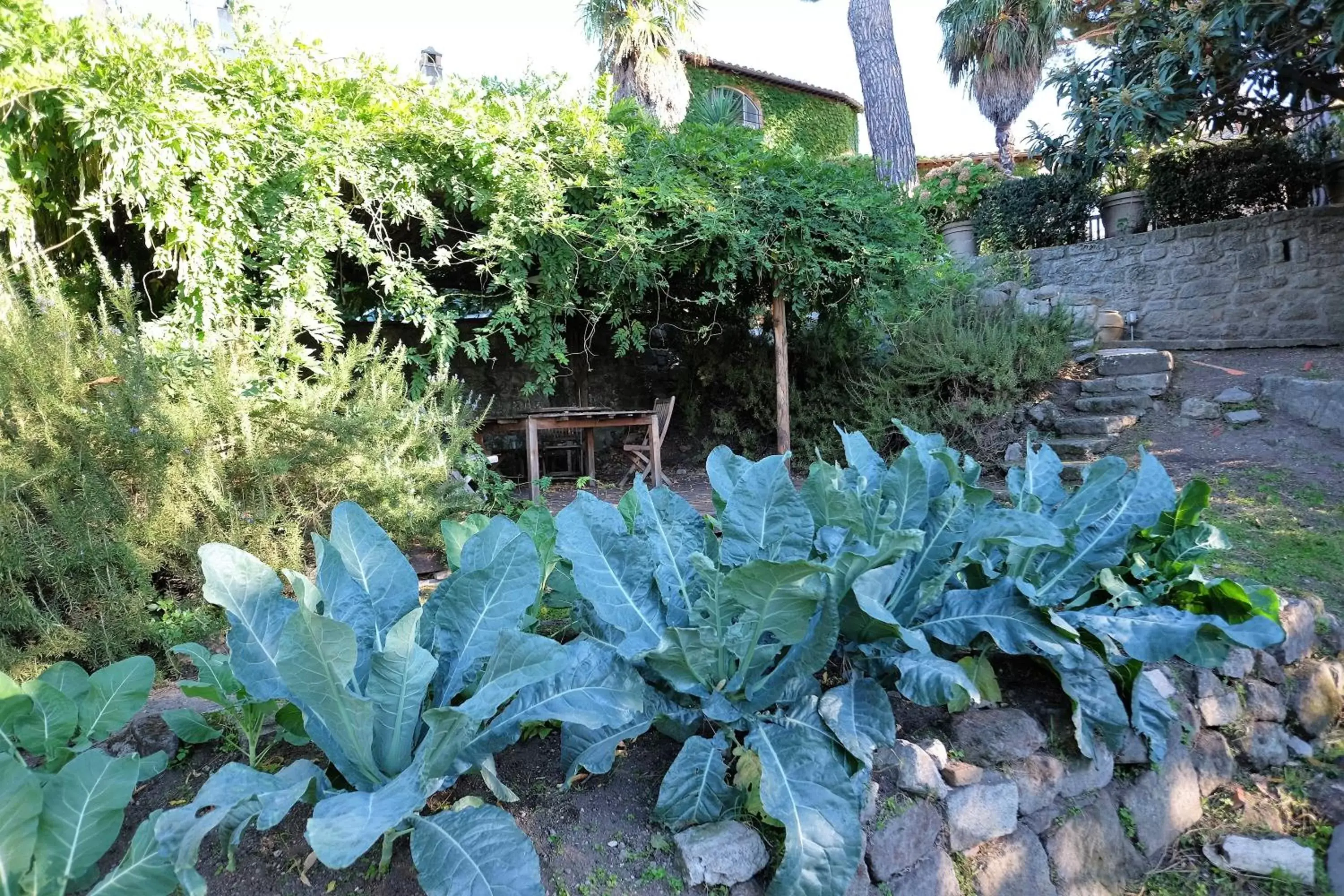 Garden in B&B A Piazza del Gesù