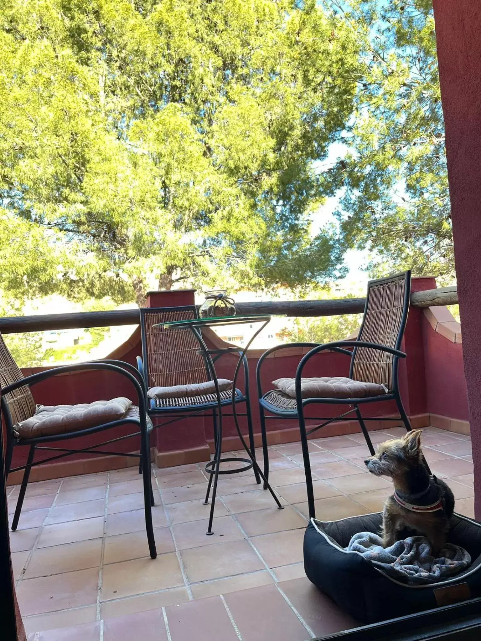 Balcony/Terrace in Hotel Boutique Cerro del Sol