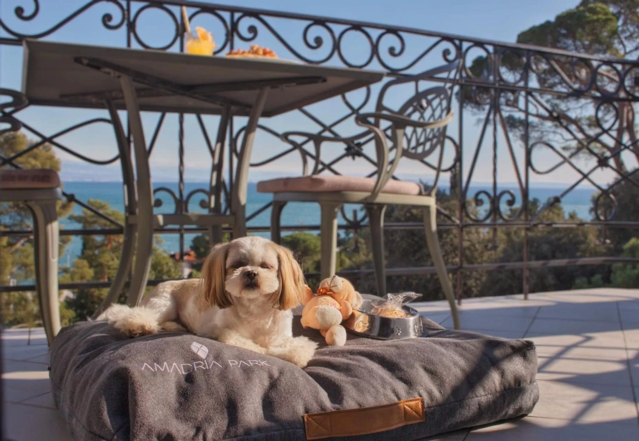 Pets in Amadria Park Hotel Agava