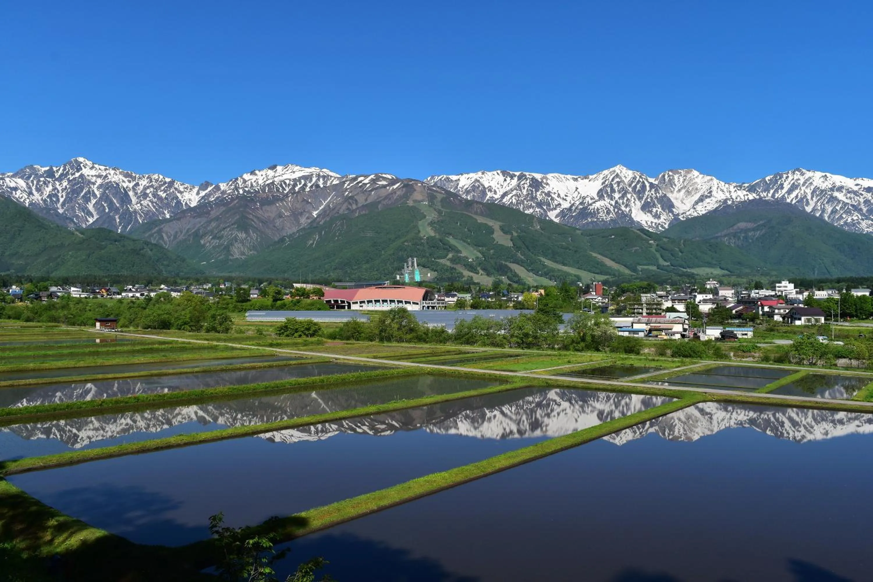 Natural landscape in Hotel La Neige