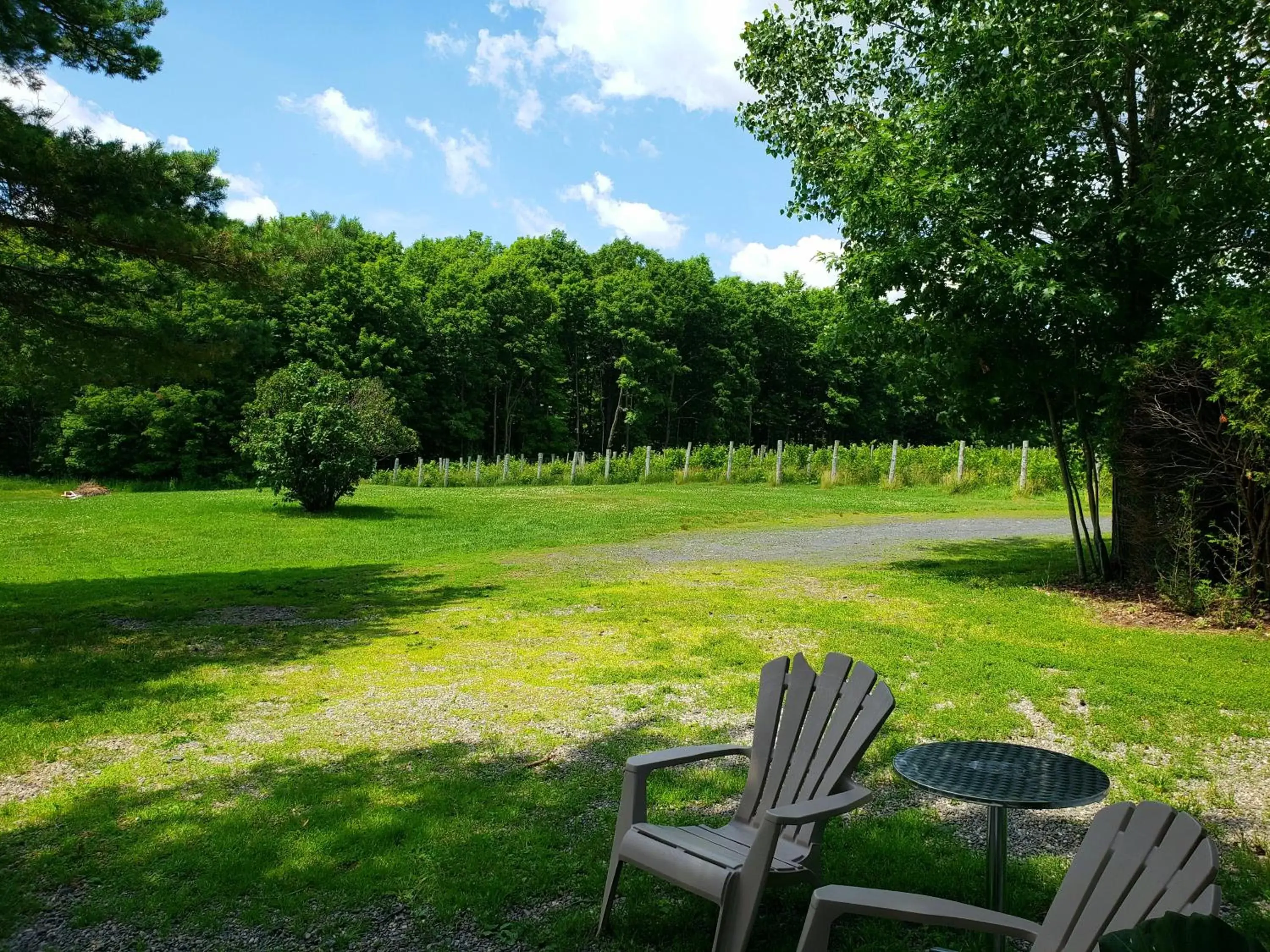 Garden in Auberge du Vignoble Bromont