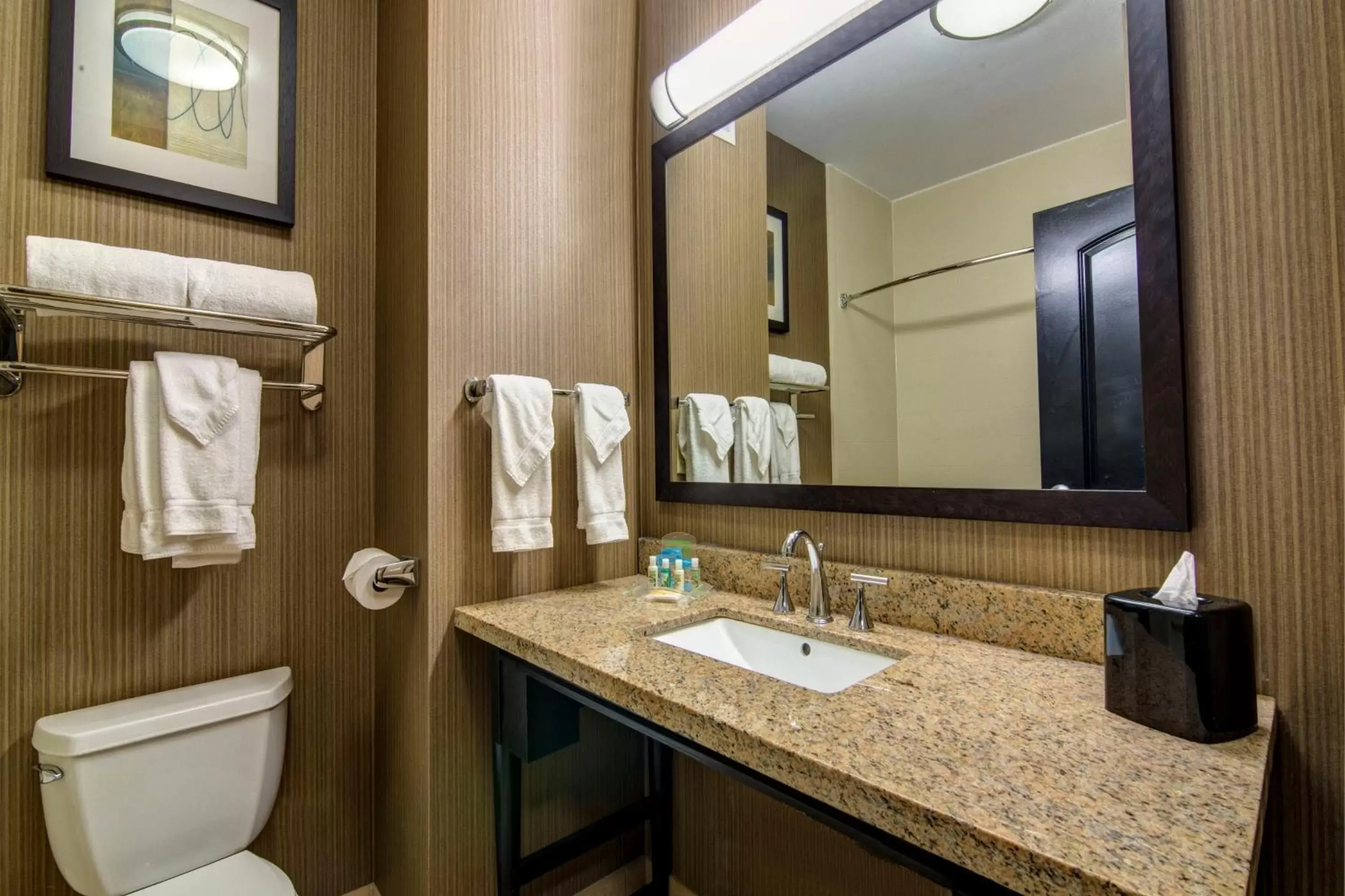 Bathroom in Holiday Inn Express Hotel & Suites Huntsville, an IHG Hotel