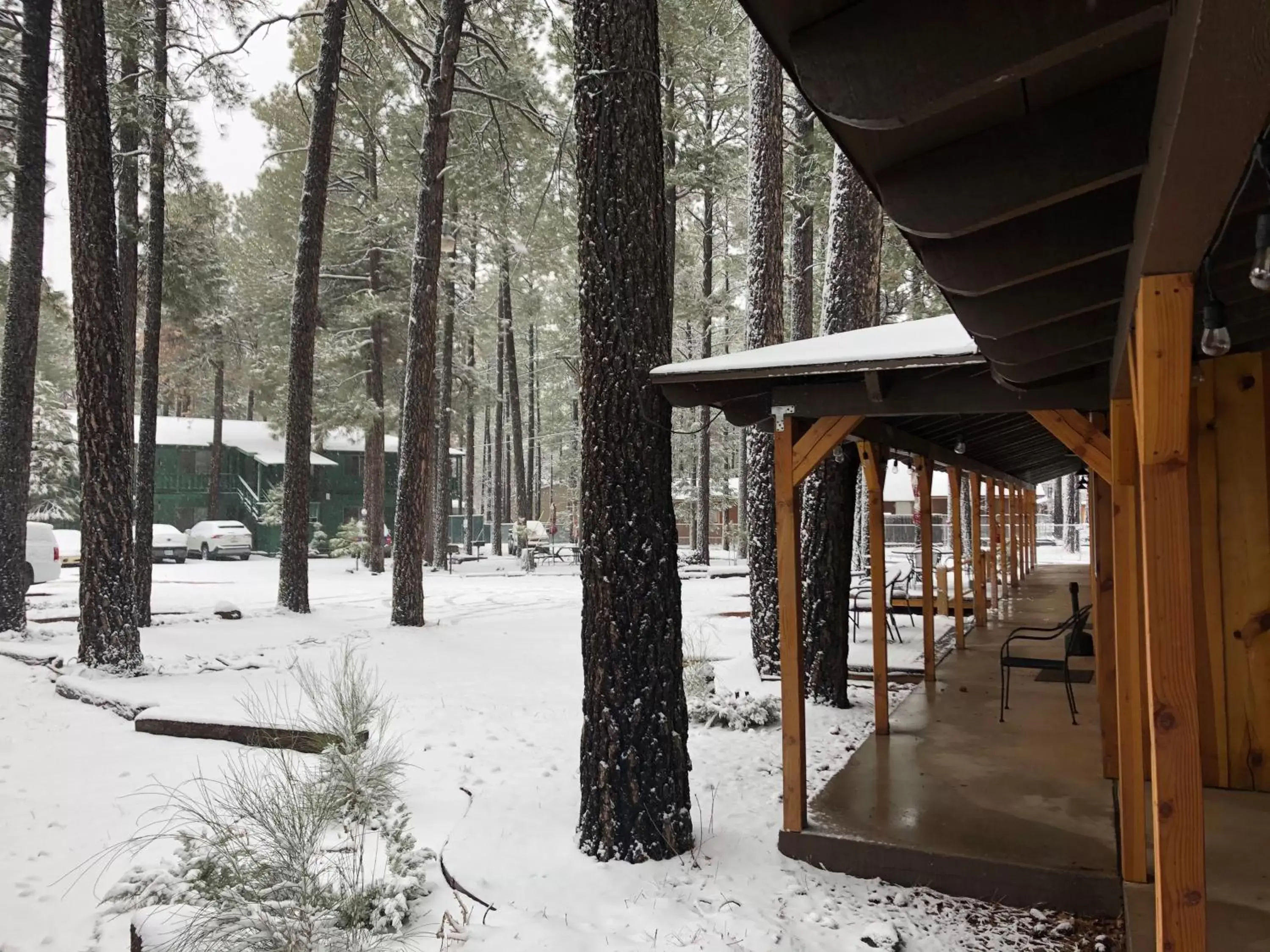 Winter in TimberLodge Inn