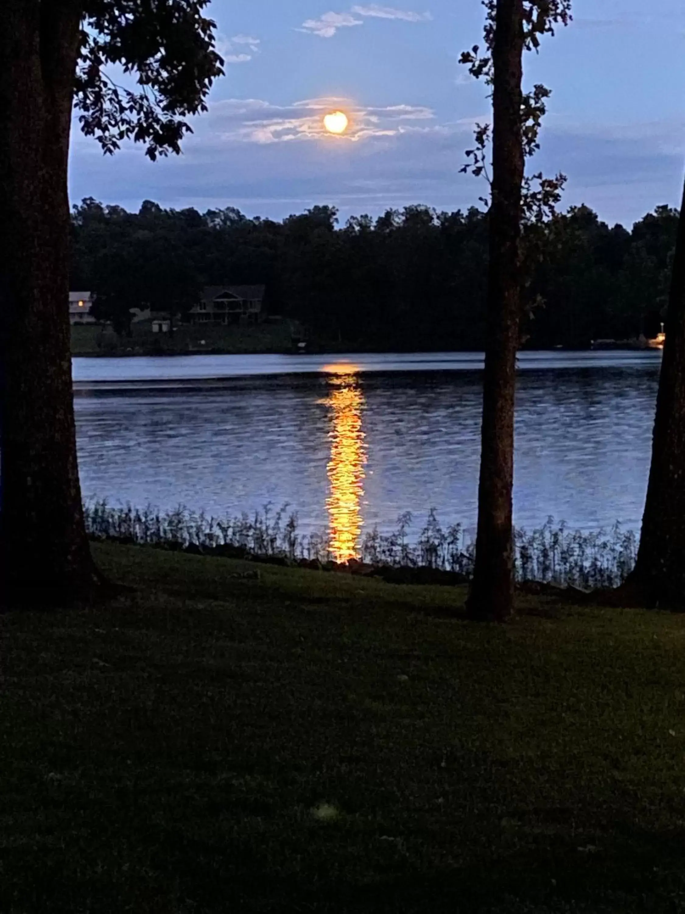 Natural landscape in Crown Lake Resort & RV