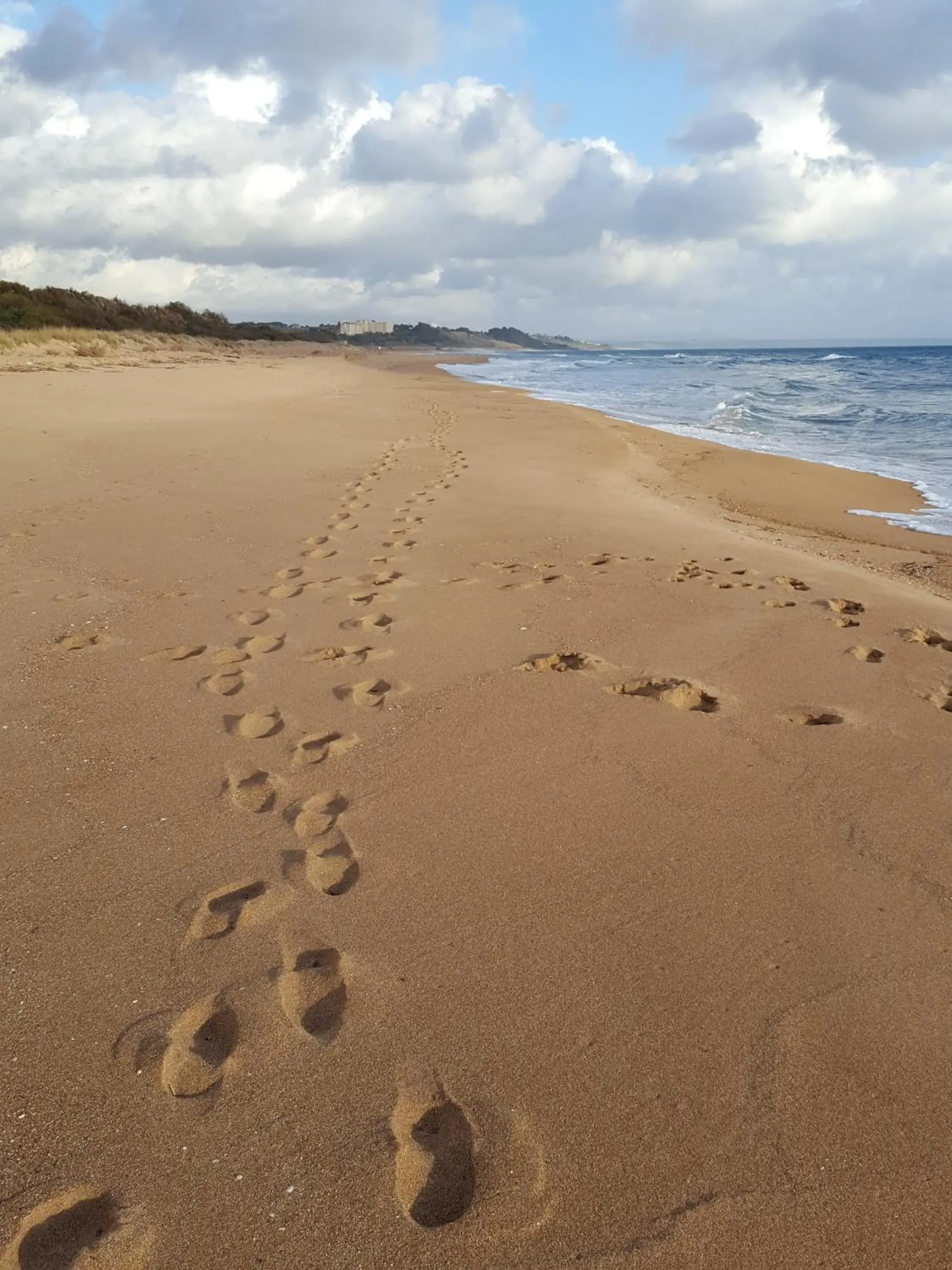 Beach in Hotel Admeto