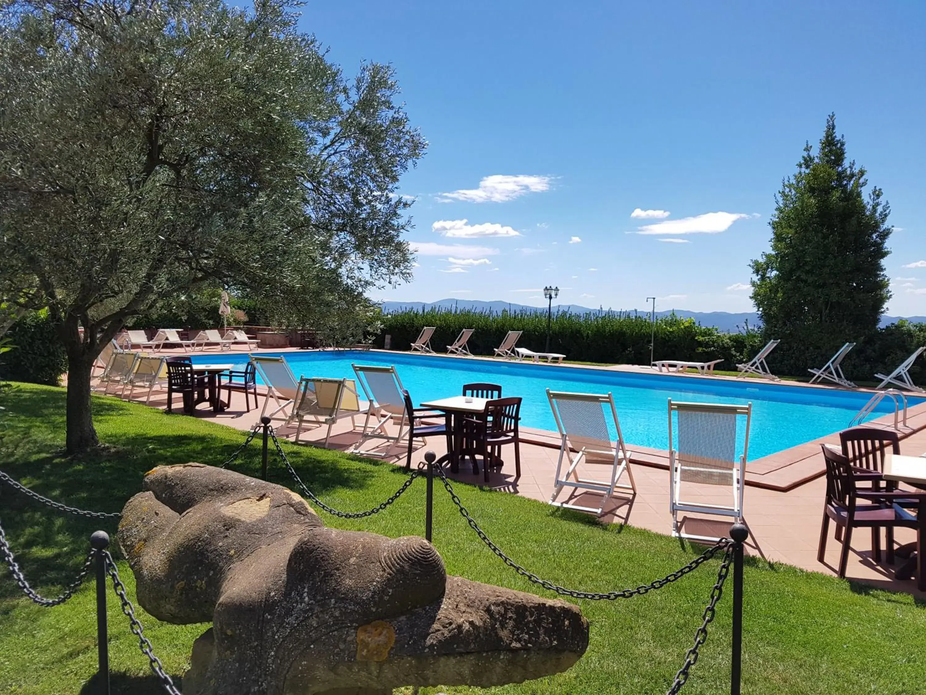 Garden, Swimming Pool in Villa Nencini