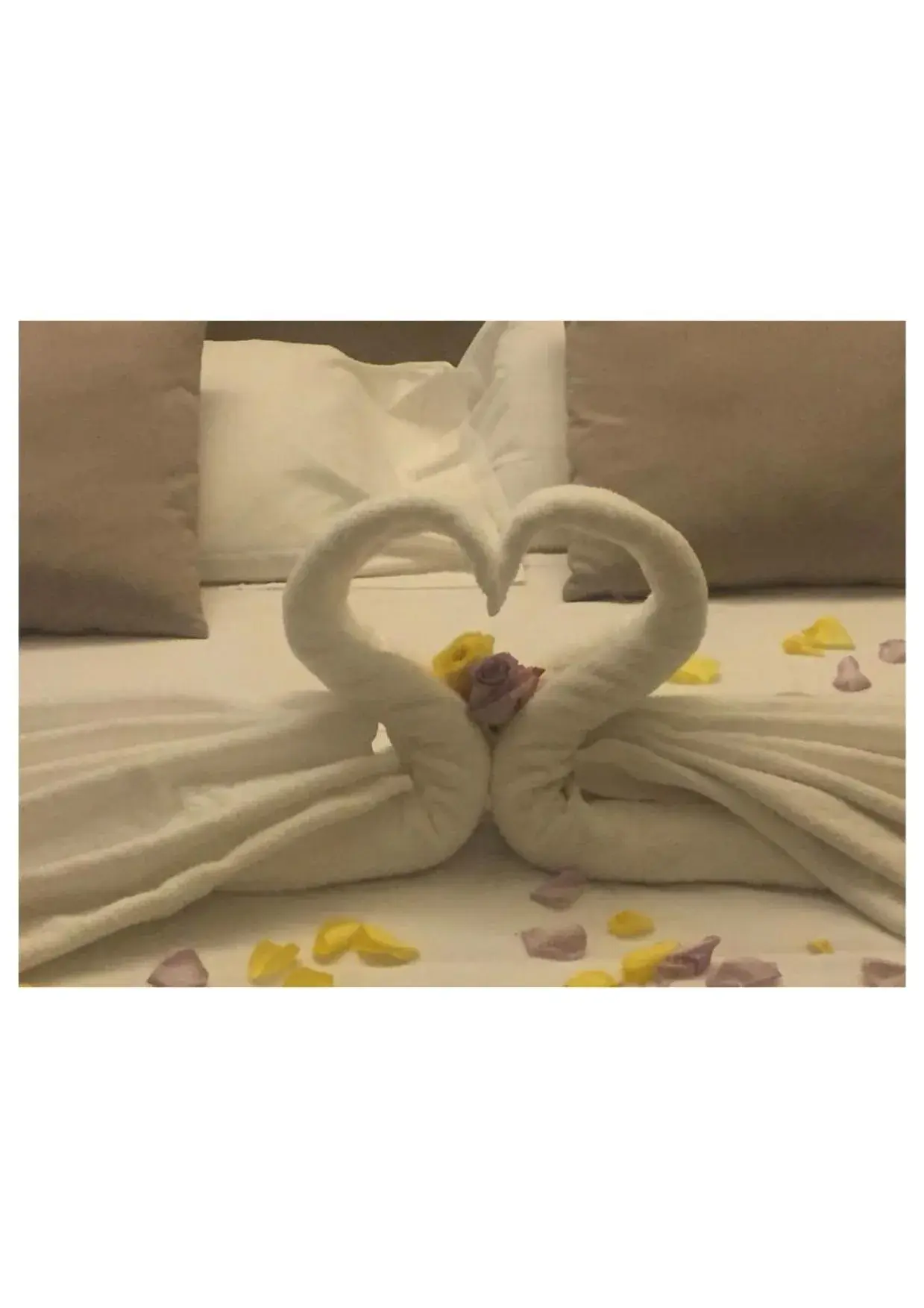 Bed in TH Assisi - Hotel Cenacolo Bed in TH Assisi - Hotel Cenacolo