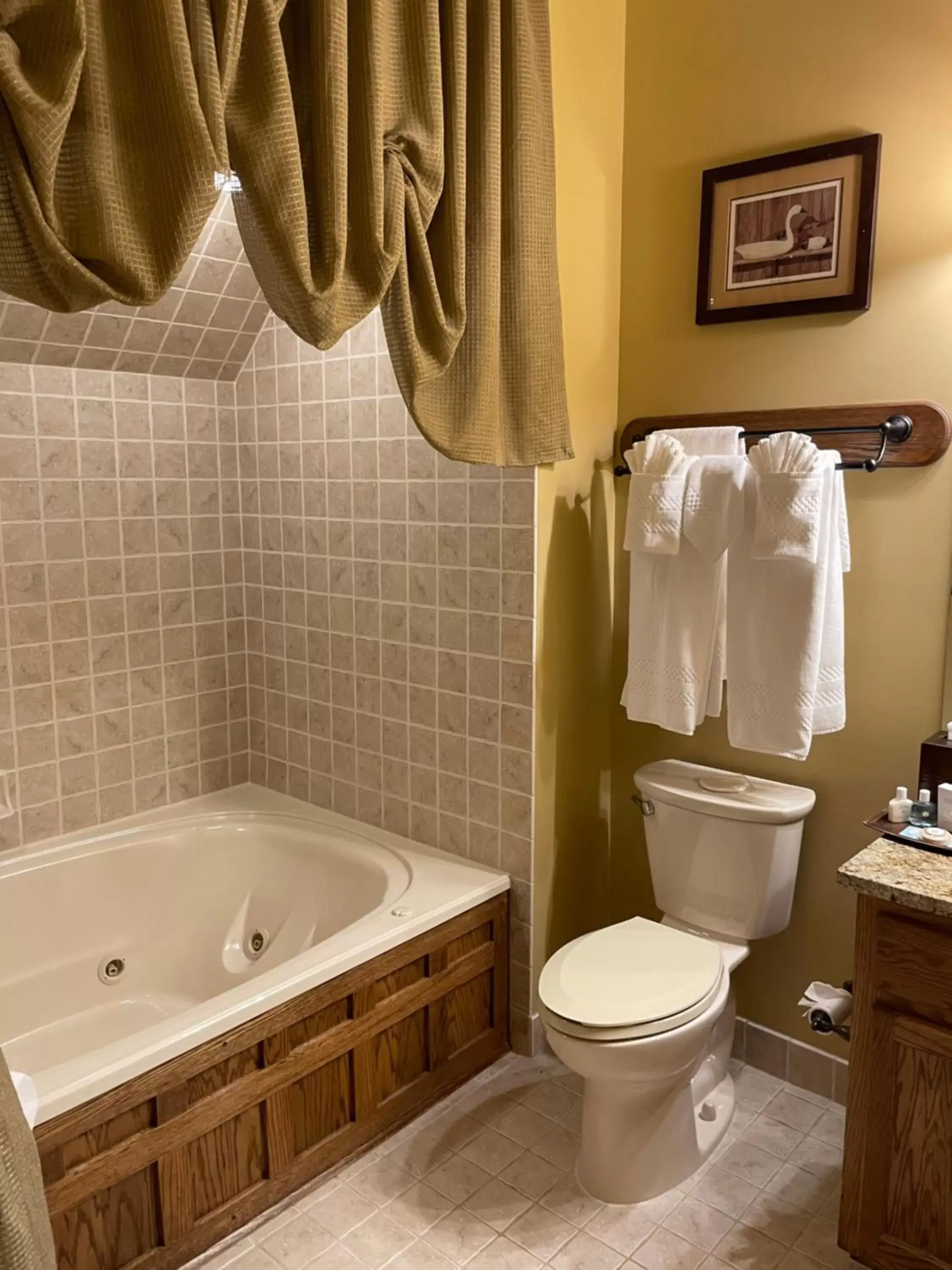 Bathroom in Bob Timberlake Inn at Chetola Resort