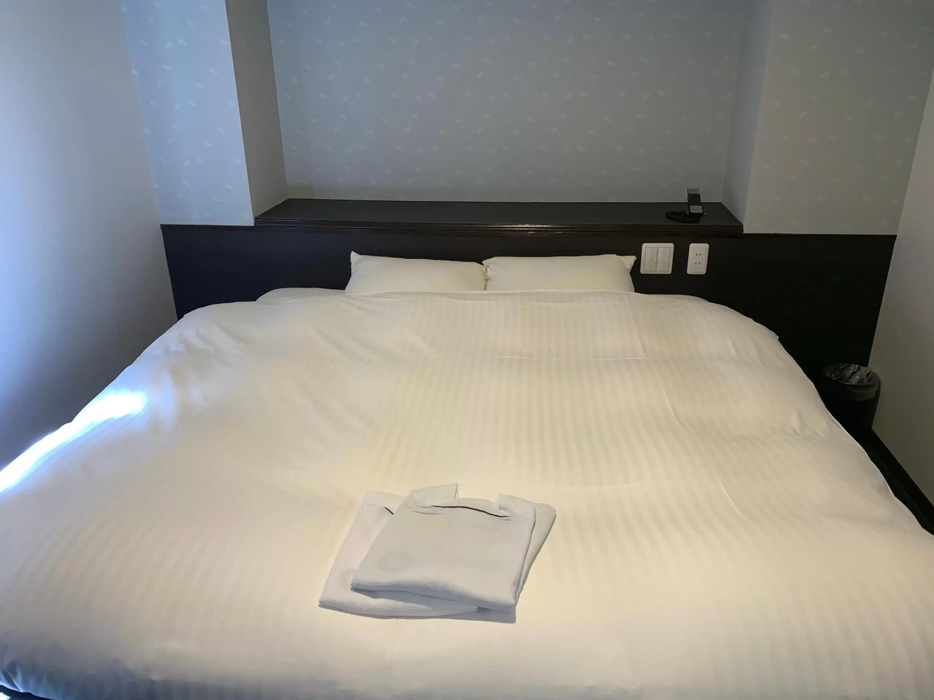 Photo of the whole room, Bed in Nagoyaeki Access Hotel