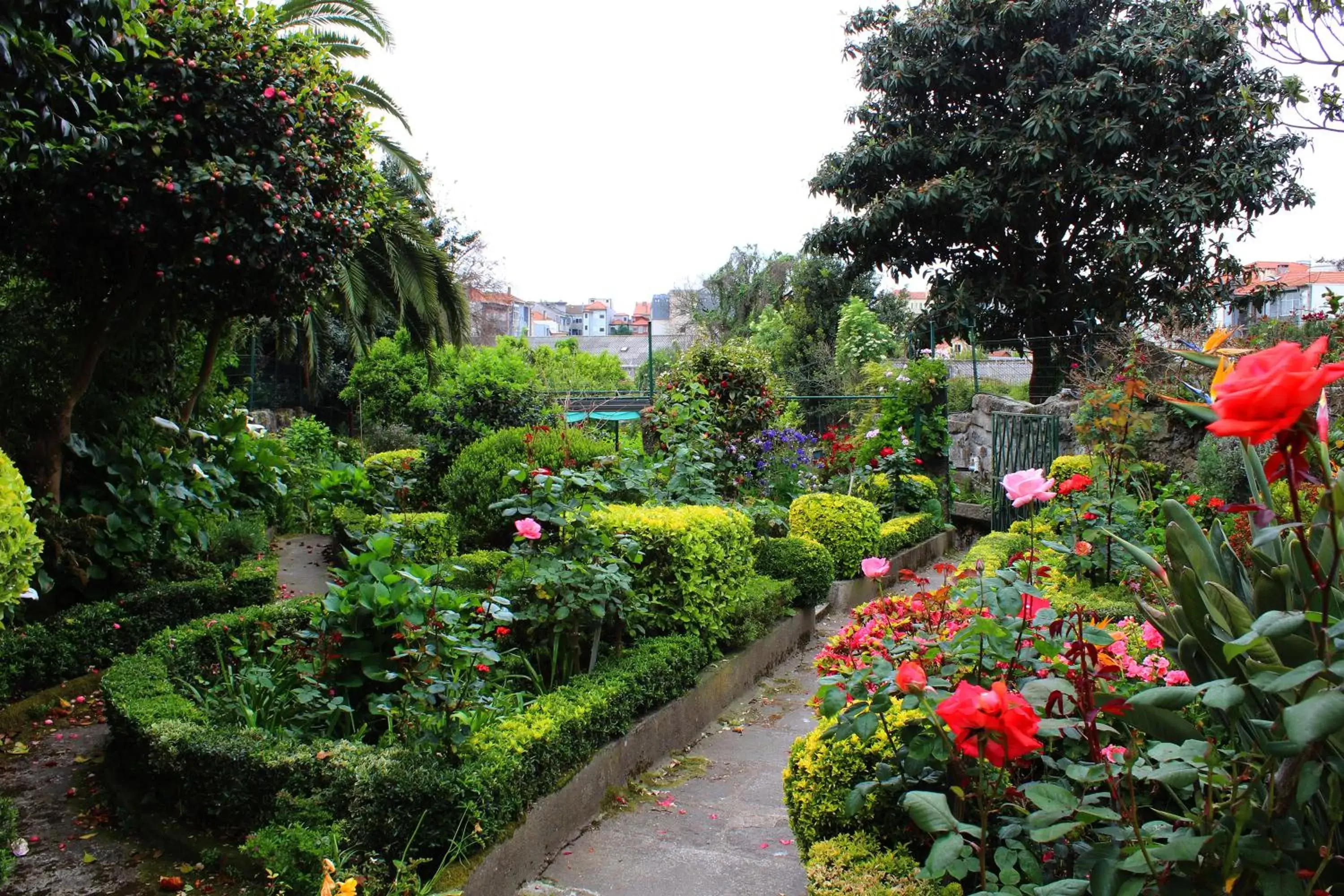 Garden in Hotel Estoril Porto