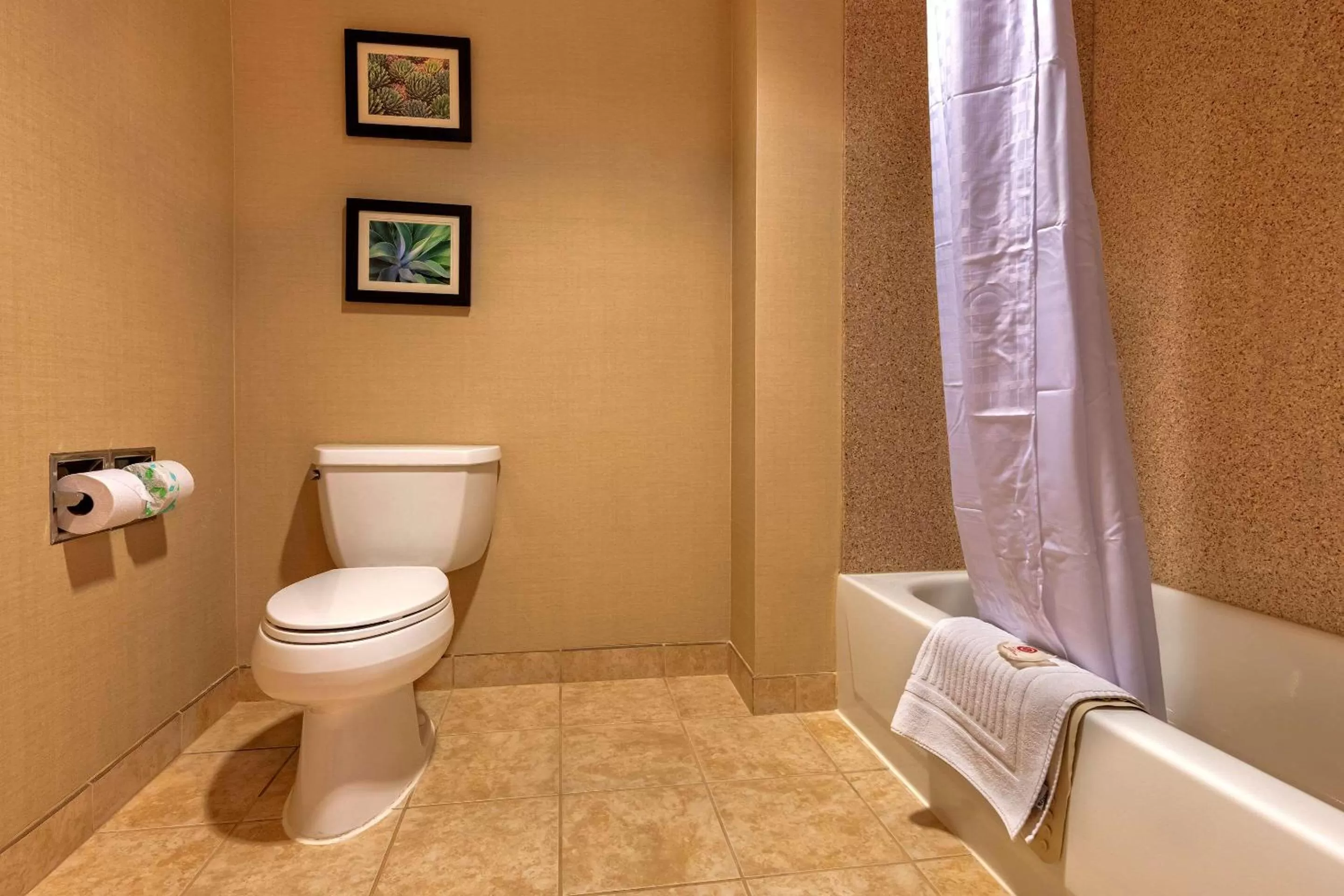 Bedroom in Comfort Suites Goodyear-West Phoenix