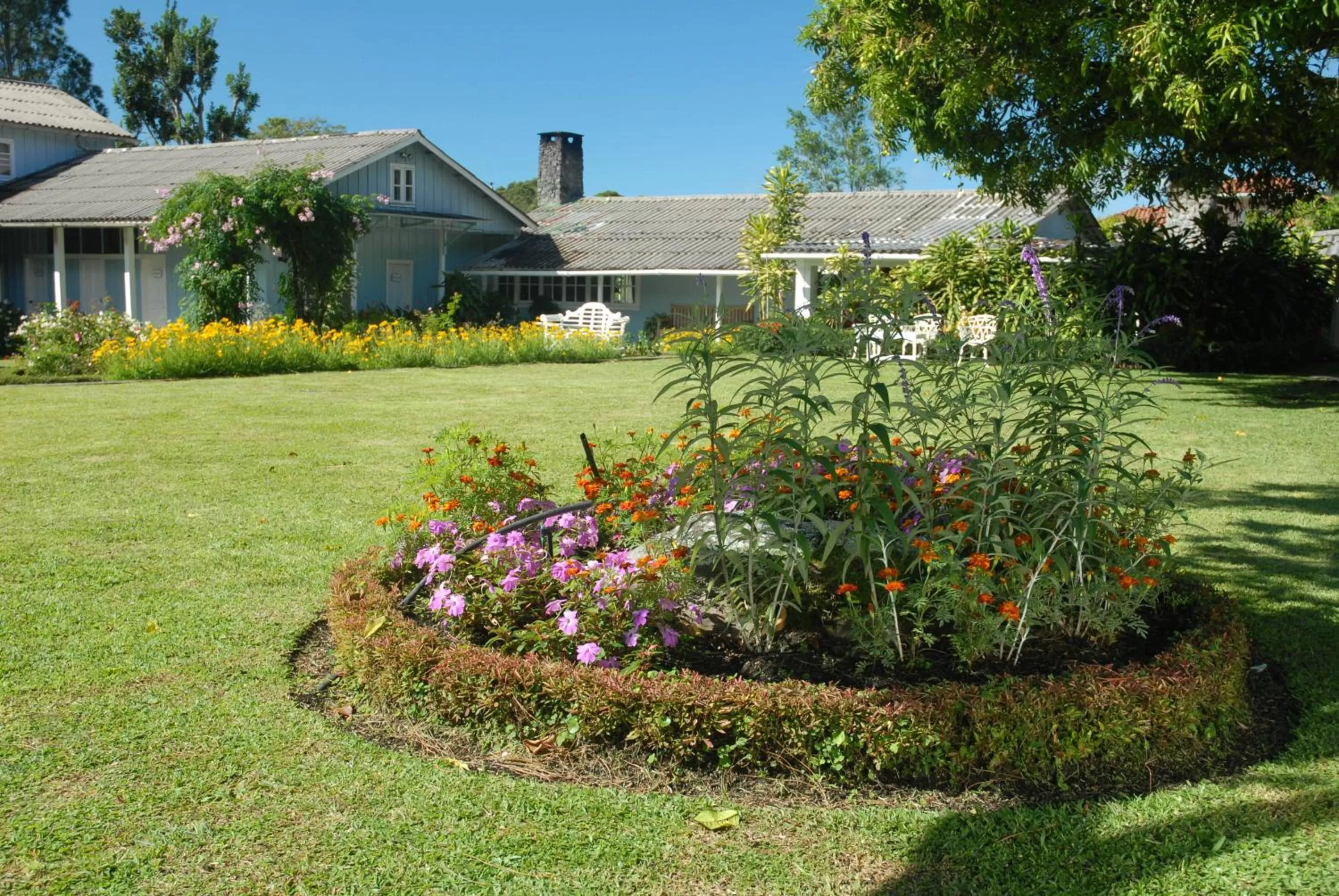Garden in Hotel Panamonte