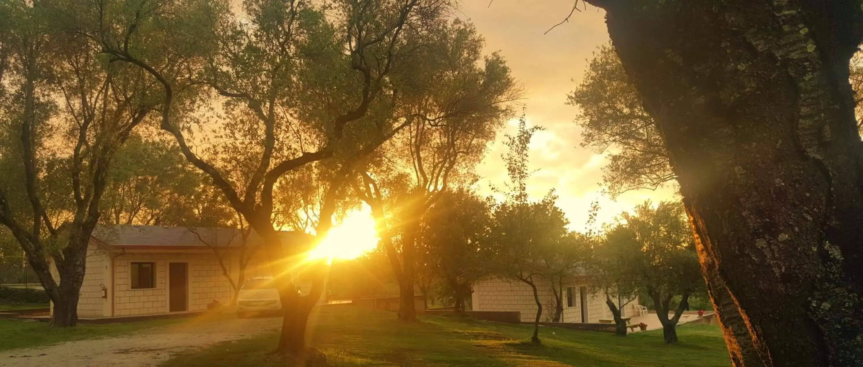 Garden view, Sunrise/Sunset in Green Park Hotel & Residence