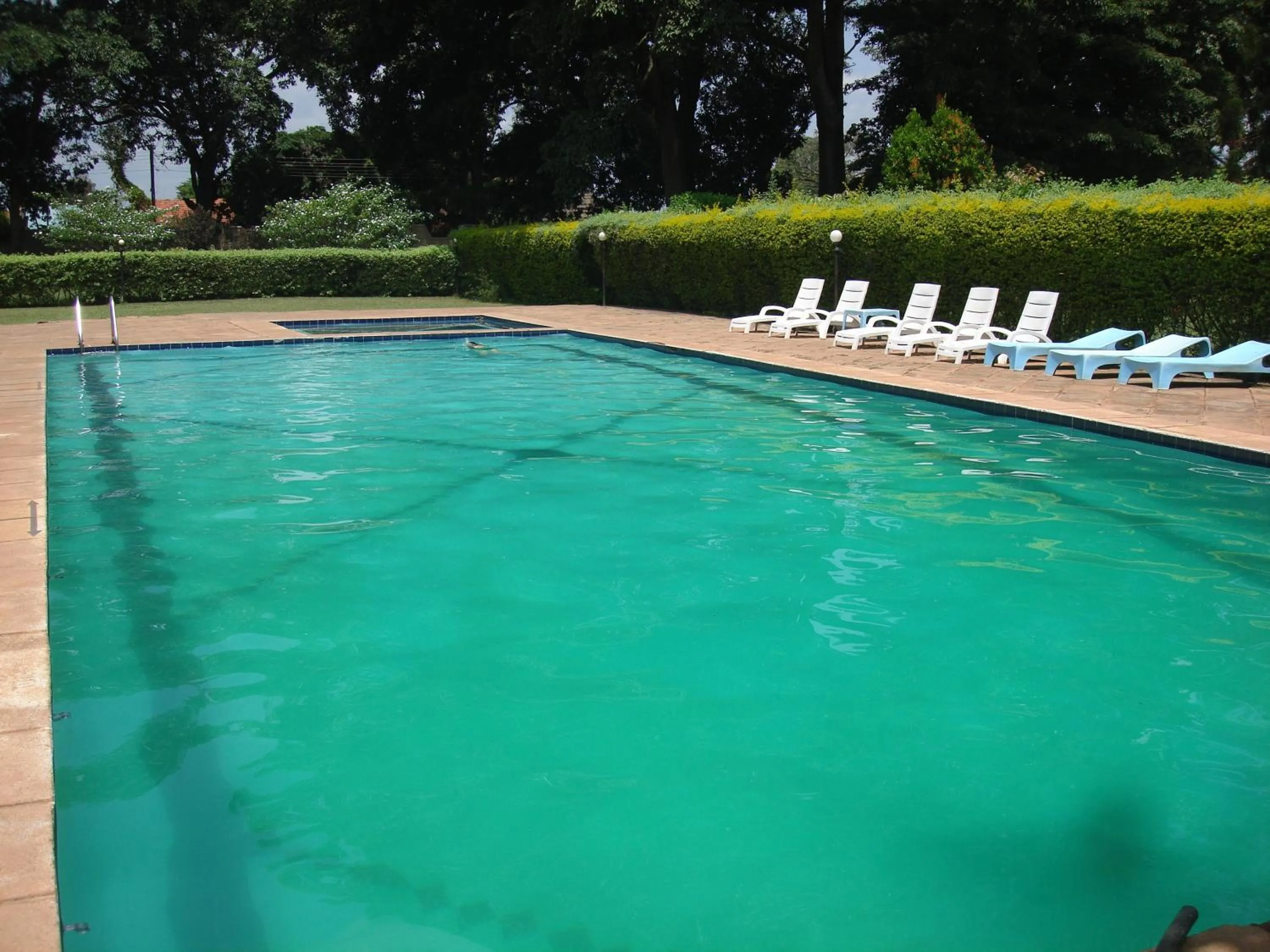 Swimming pool in Acholi Inn