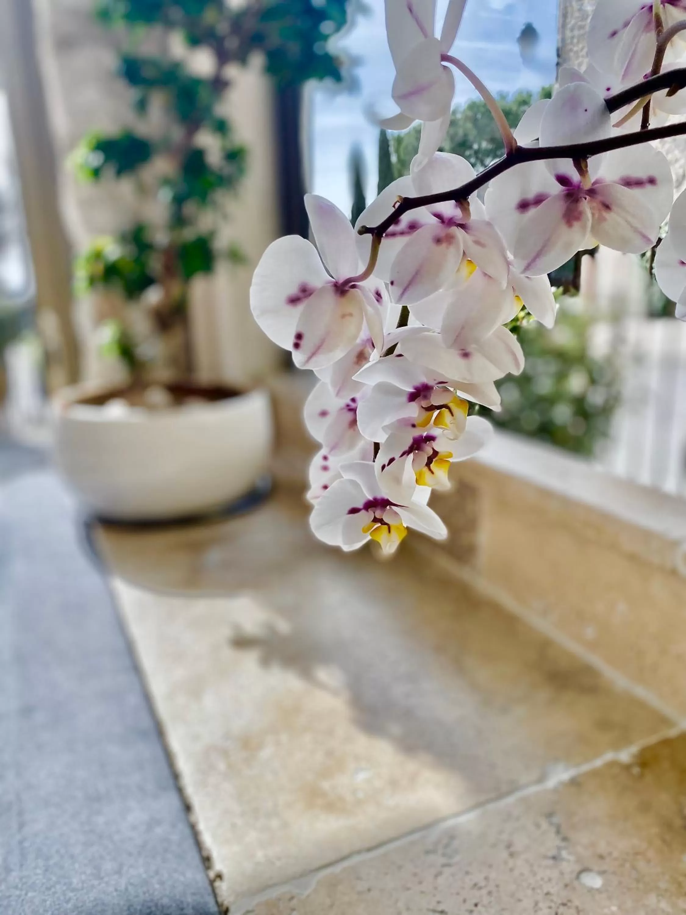 Auberge du Vieux Château