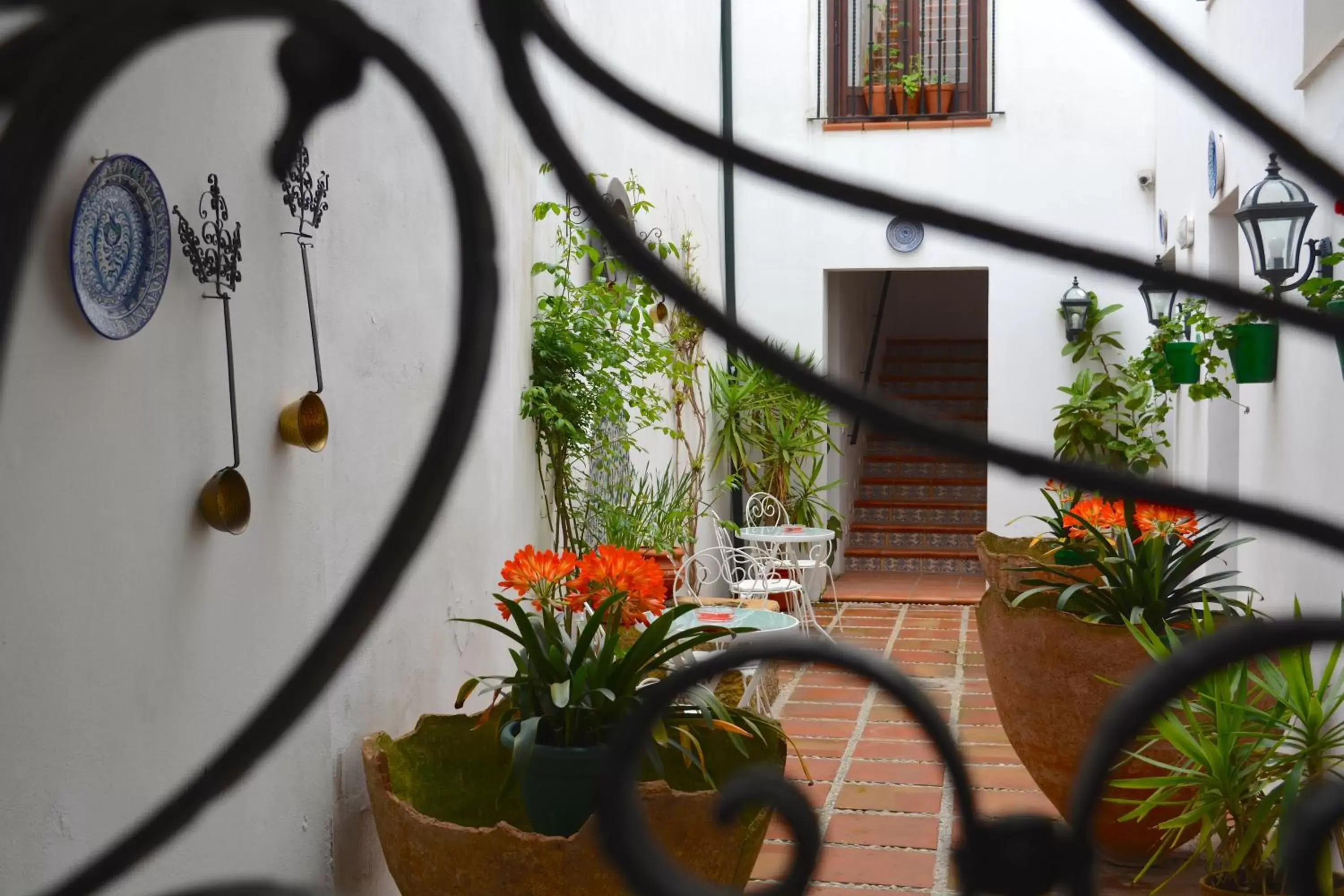 Balcony/Terrace in Hotel Marisa