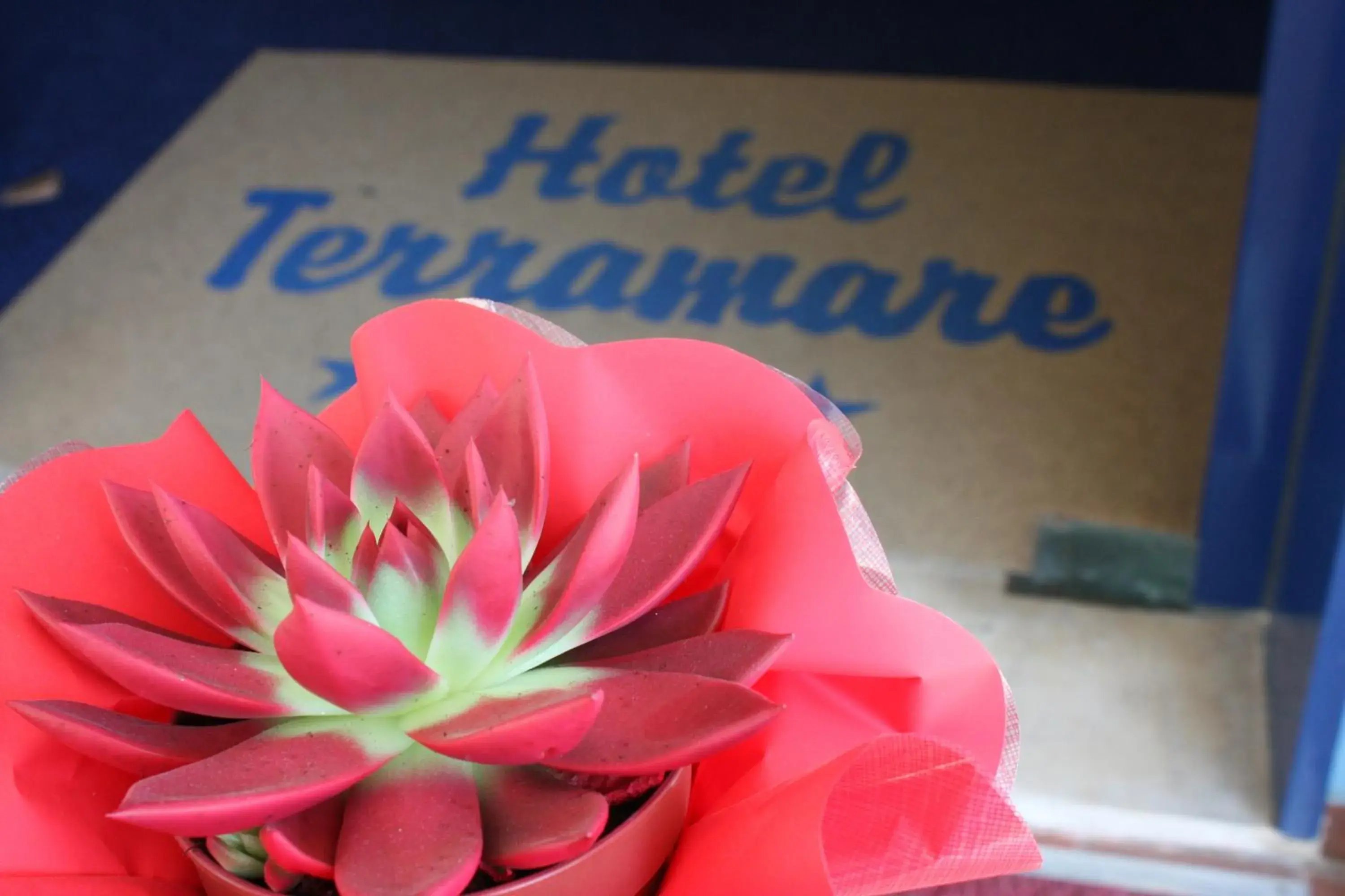 Other in Hotel Terramare