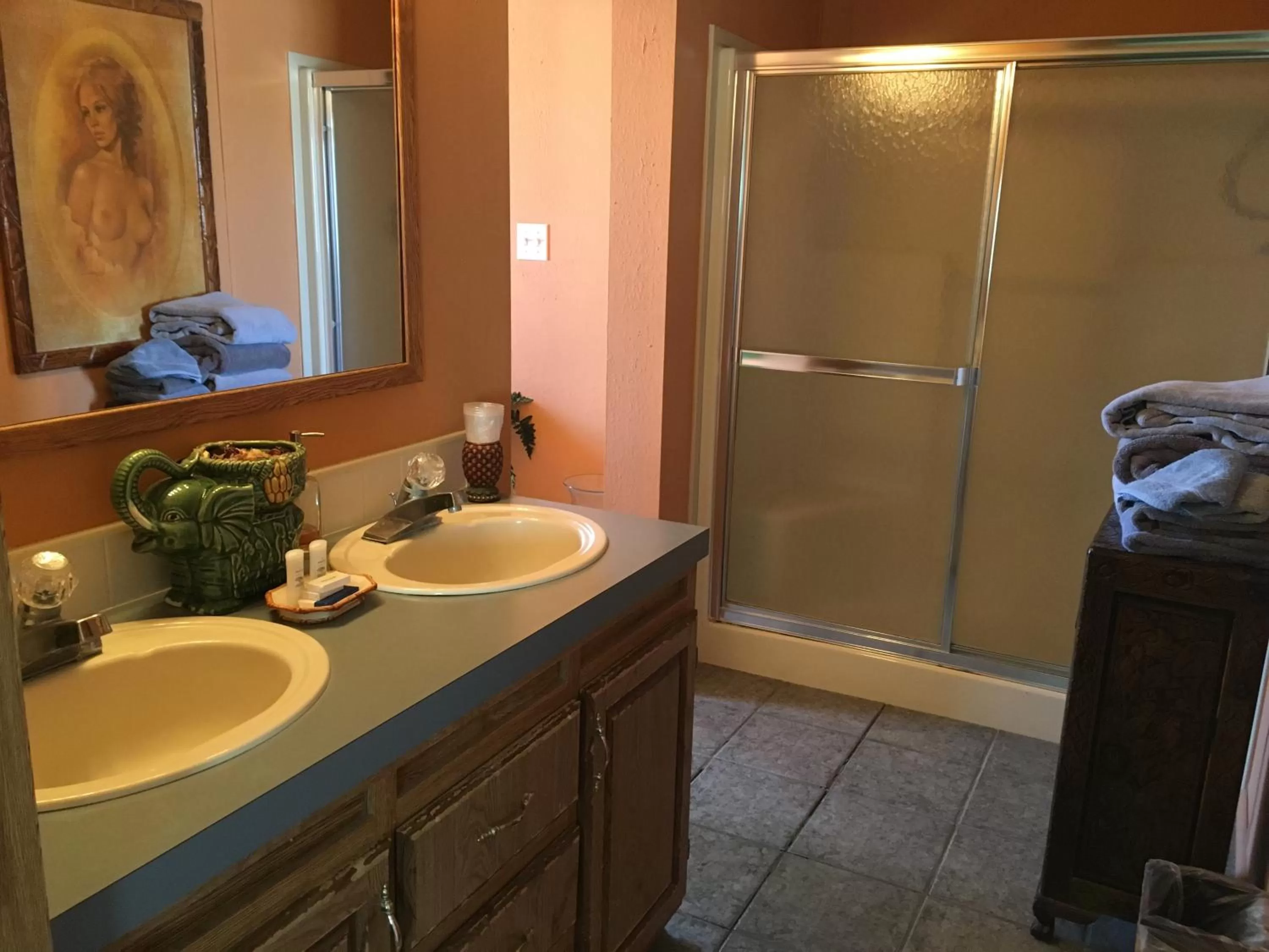 Shower in Shady Lady Bed and Breakfast